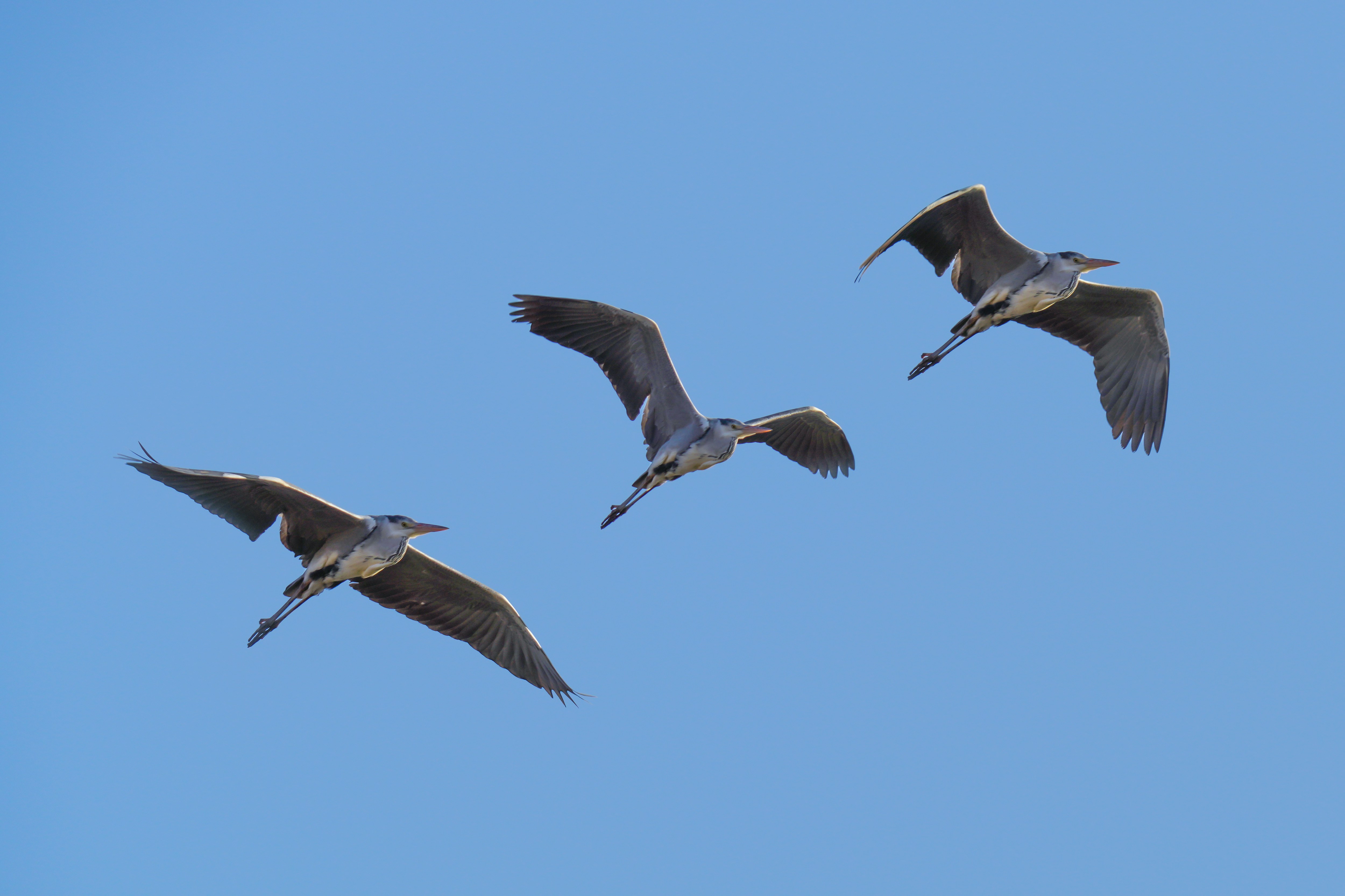 Photo by kim_dae_jeung