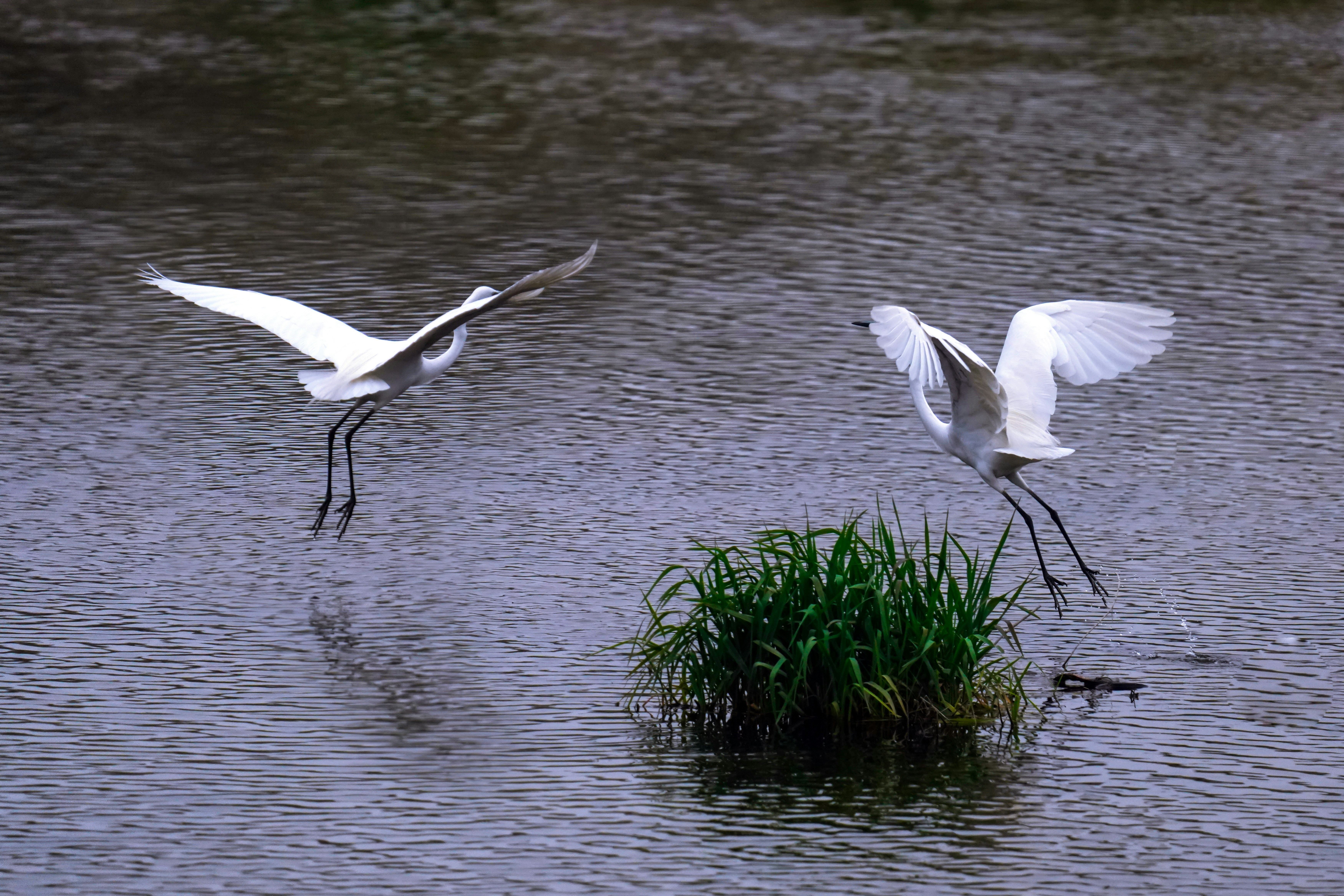 Photo by kim_dae_jeung