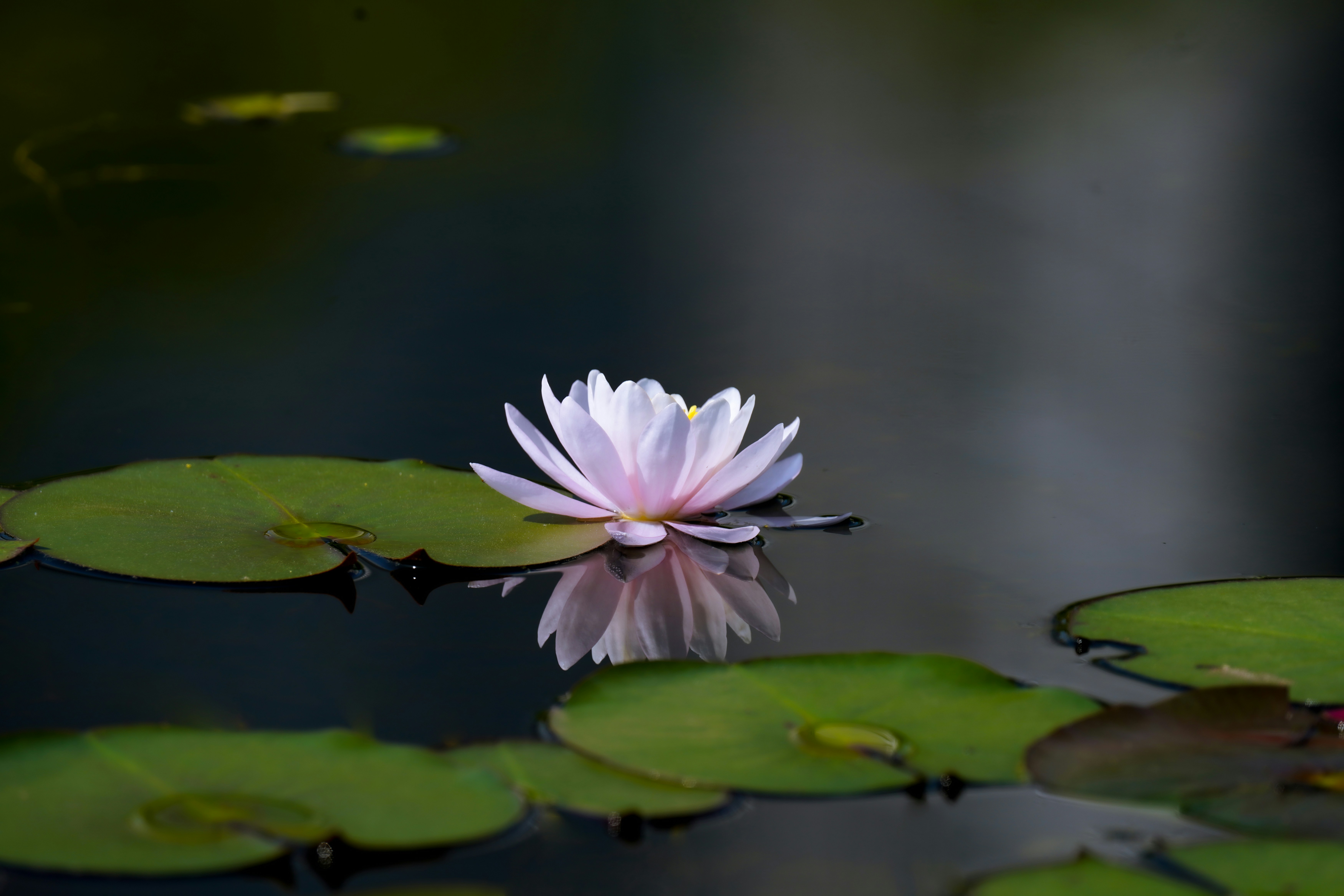 Photo by kim_dae_jeung