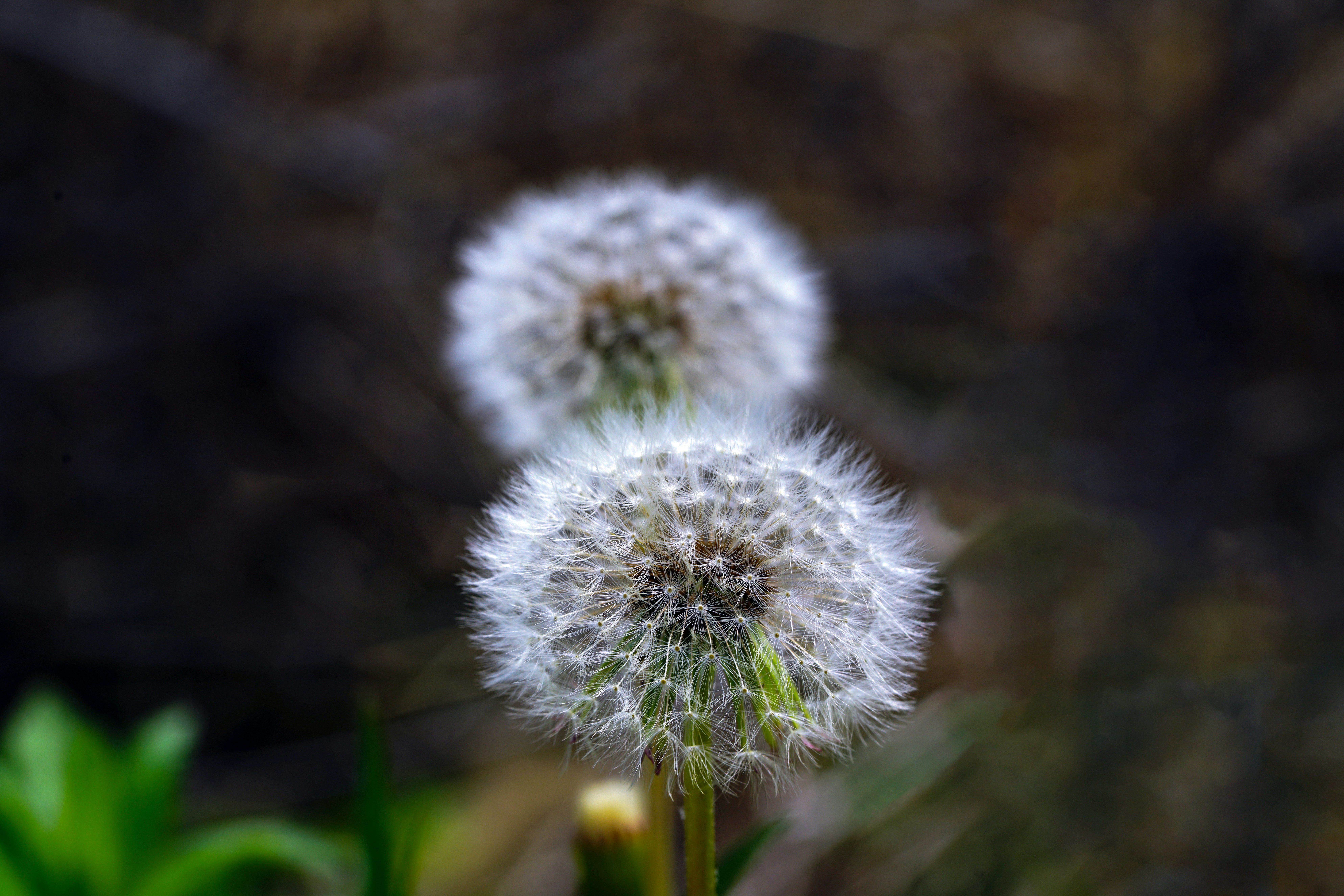 Photo by kim_dae_jeung