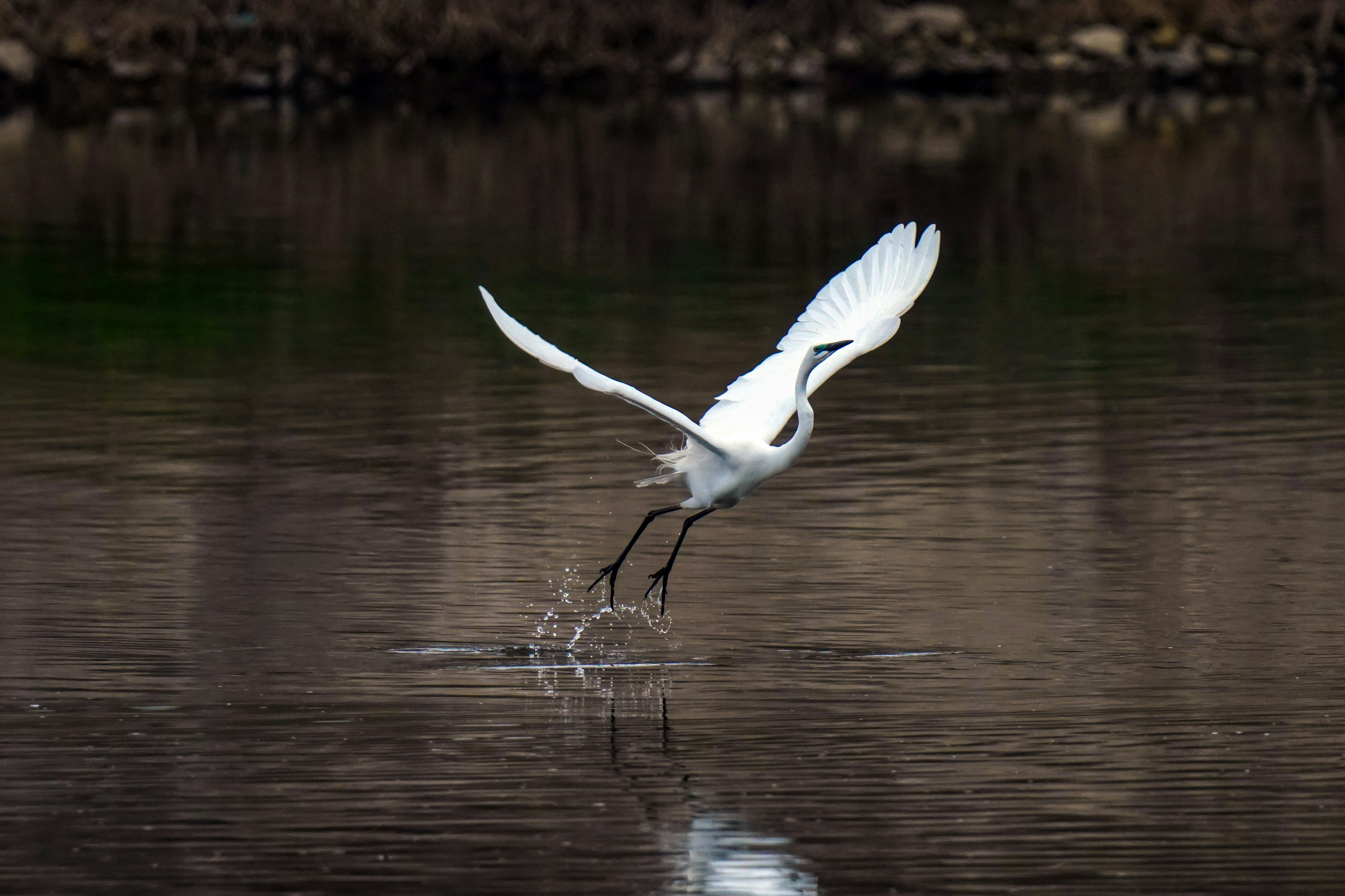 Photo by kim_dae_jeung