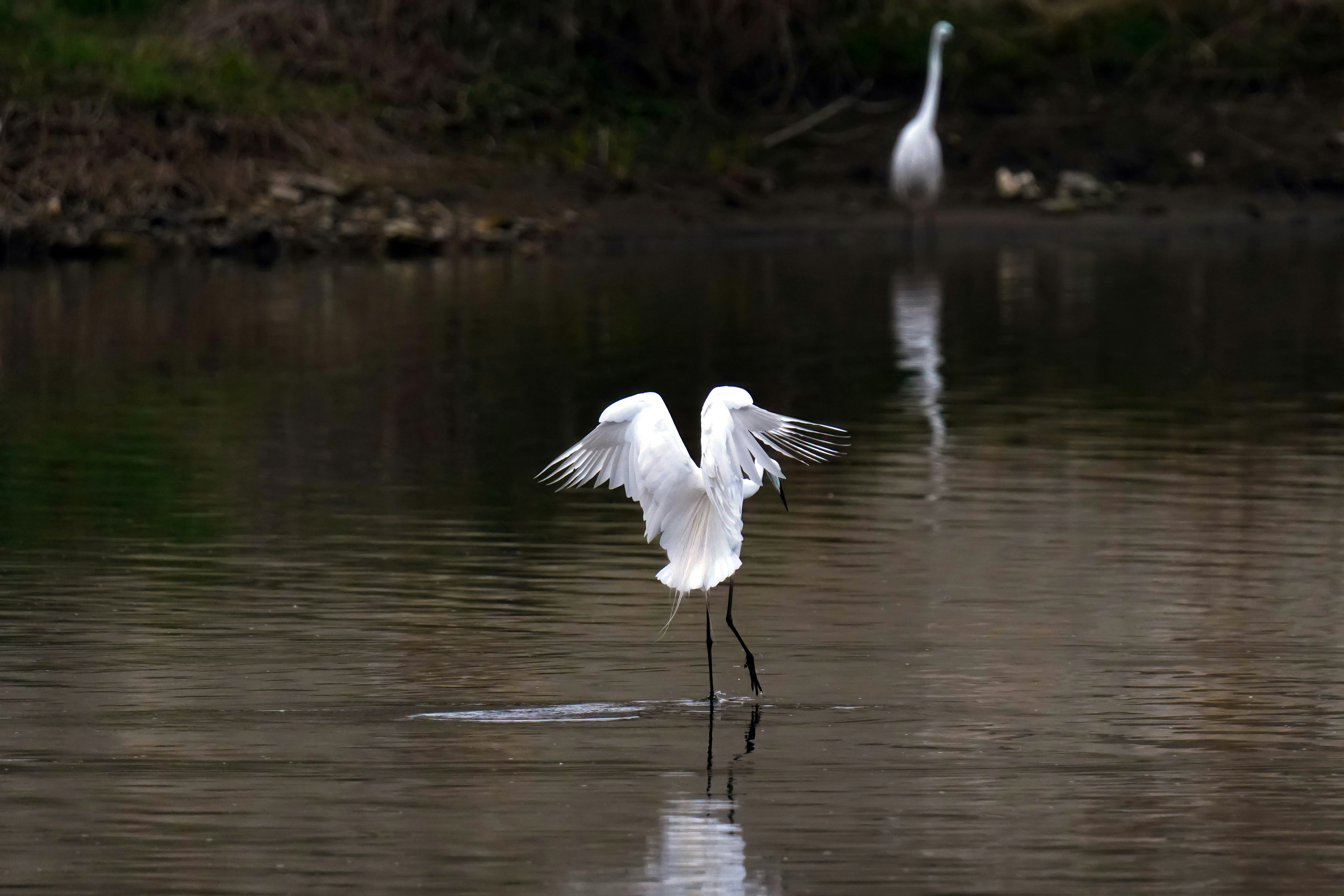 Photo by kim_dae_jeung