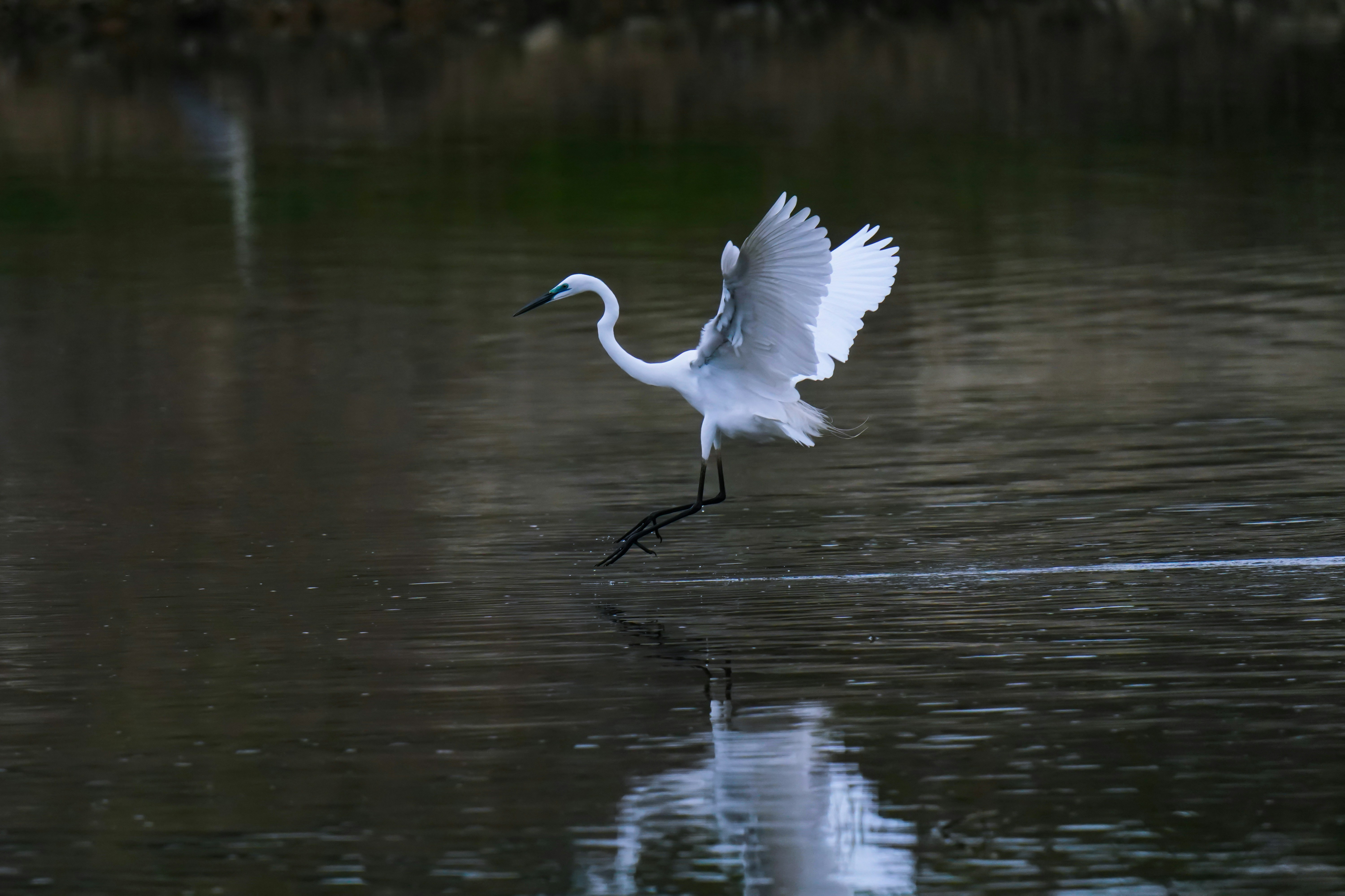 Photo by kim_dae_jeung