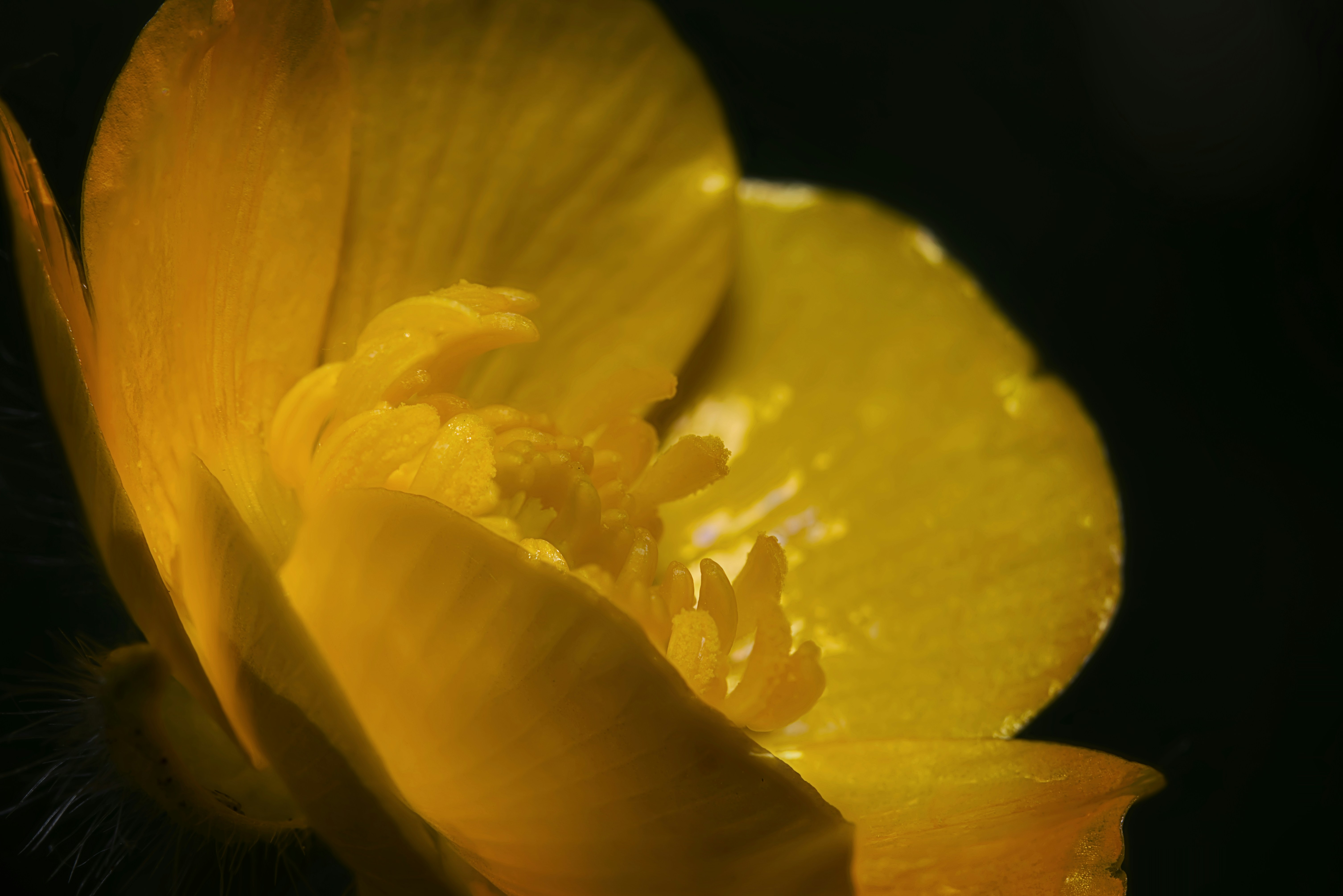 Photo by fidgetingferdie