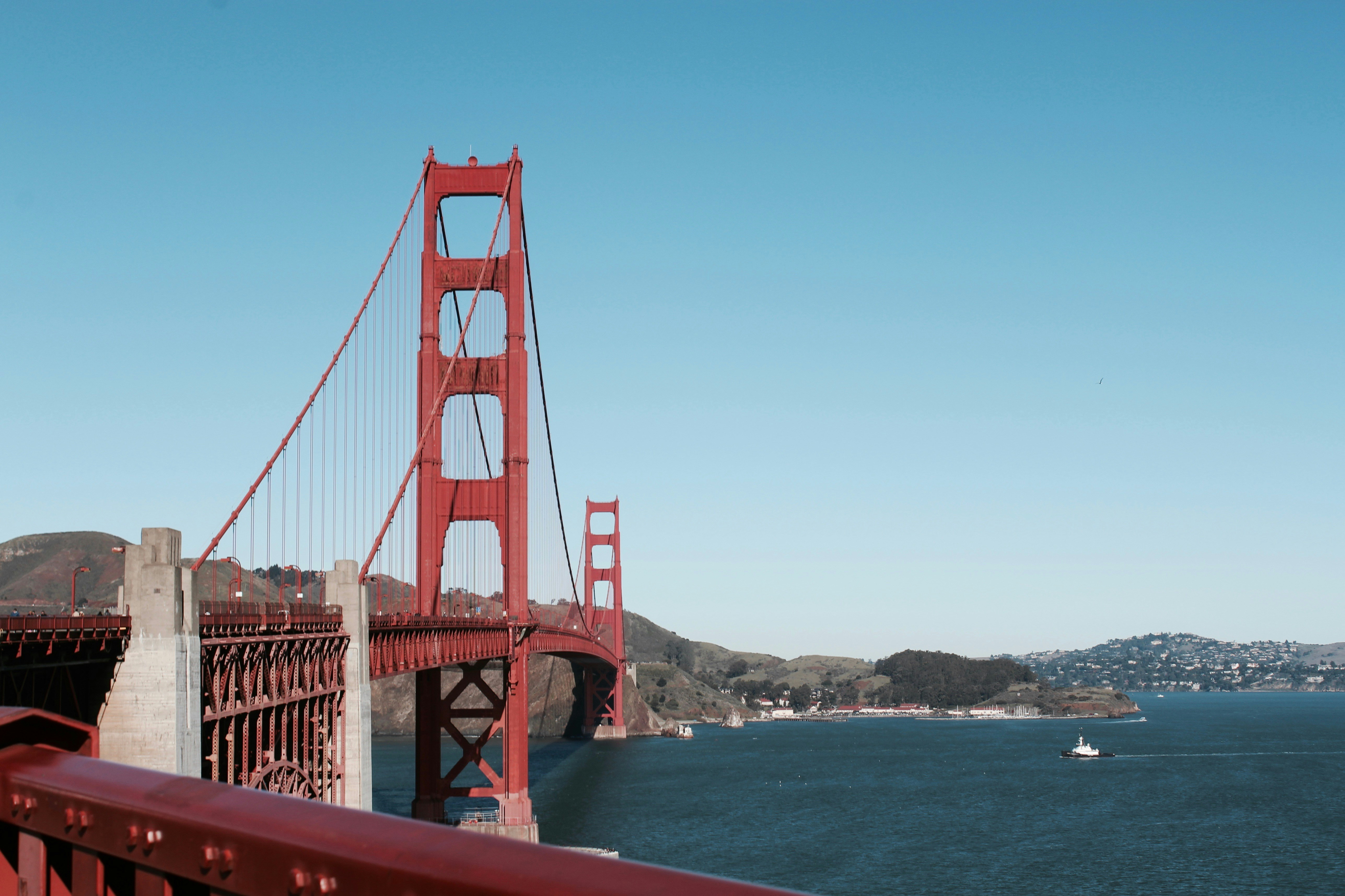 Photo by fogcityfish