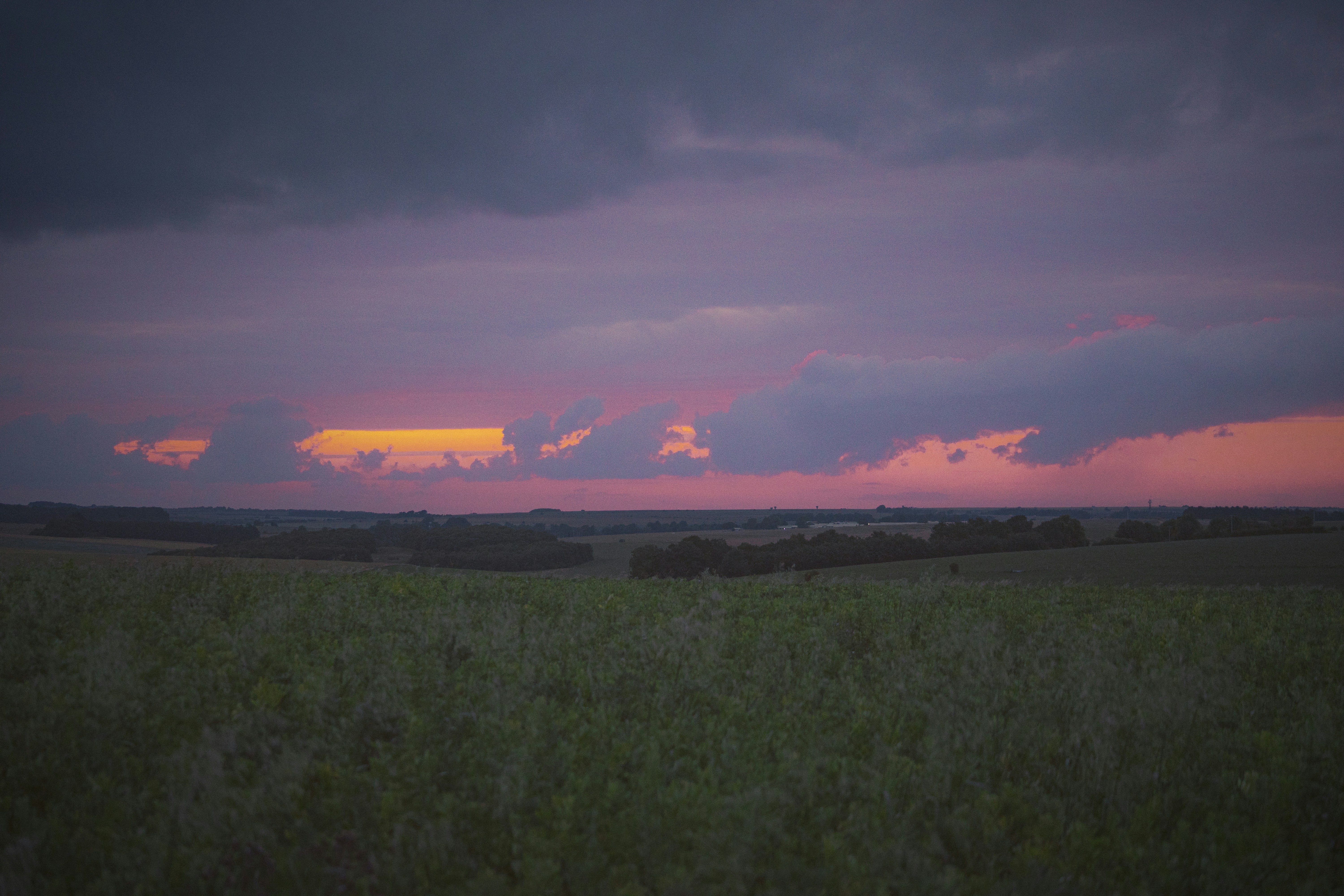 Photo by laup