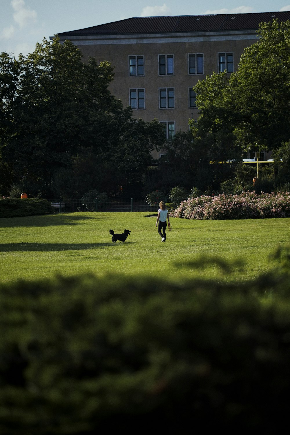 une personne et un chien dans un champ herbeux
