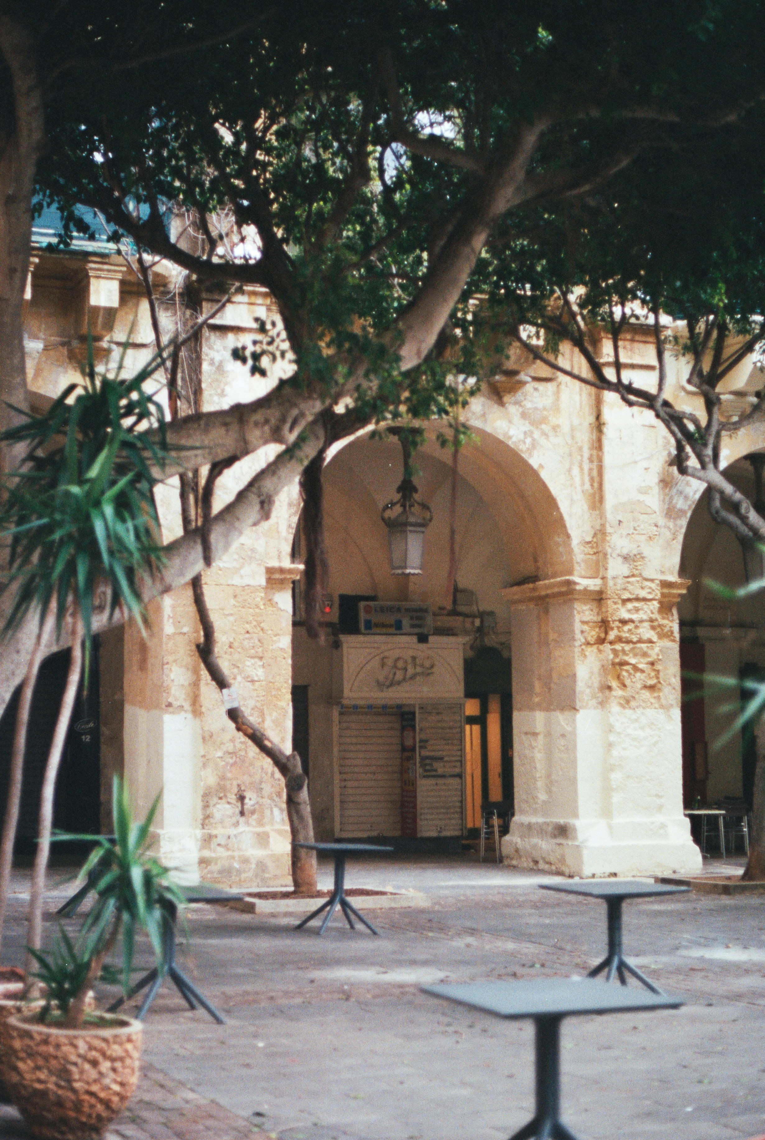 A courtyard with benches and trees in front of a building photo – Free ...
