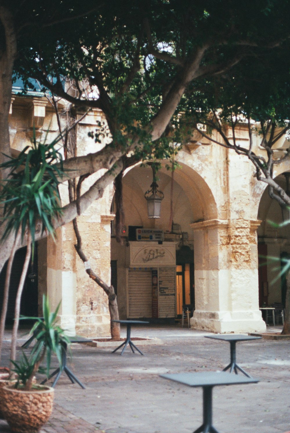 a courtyard with benches and trees in front of a building