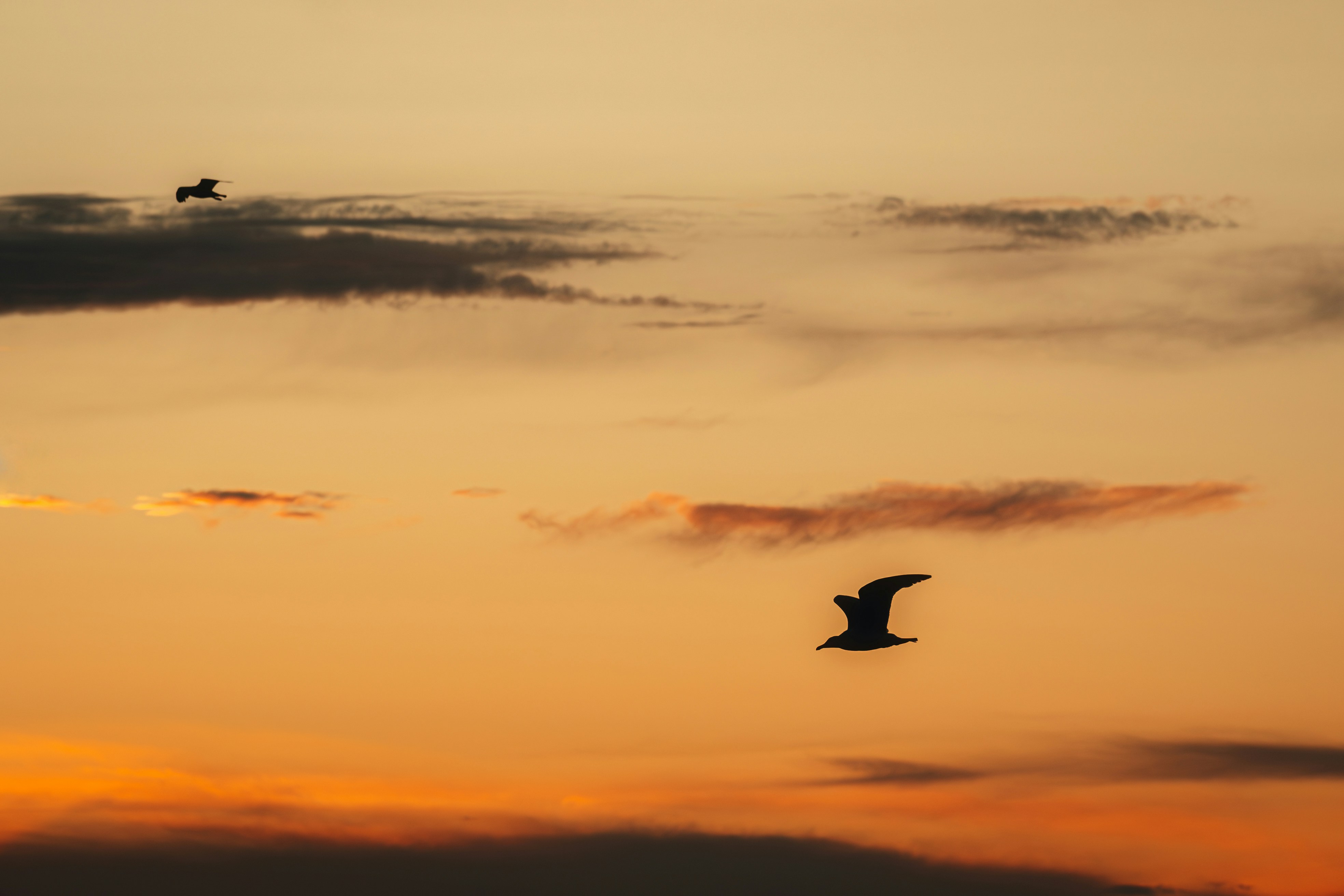 Photo by alexshuperart