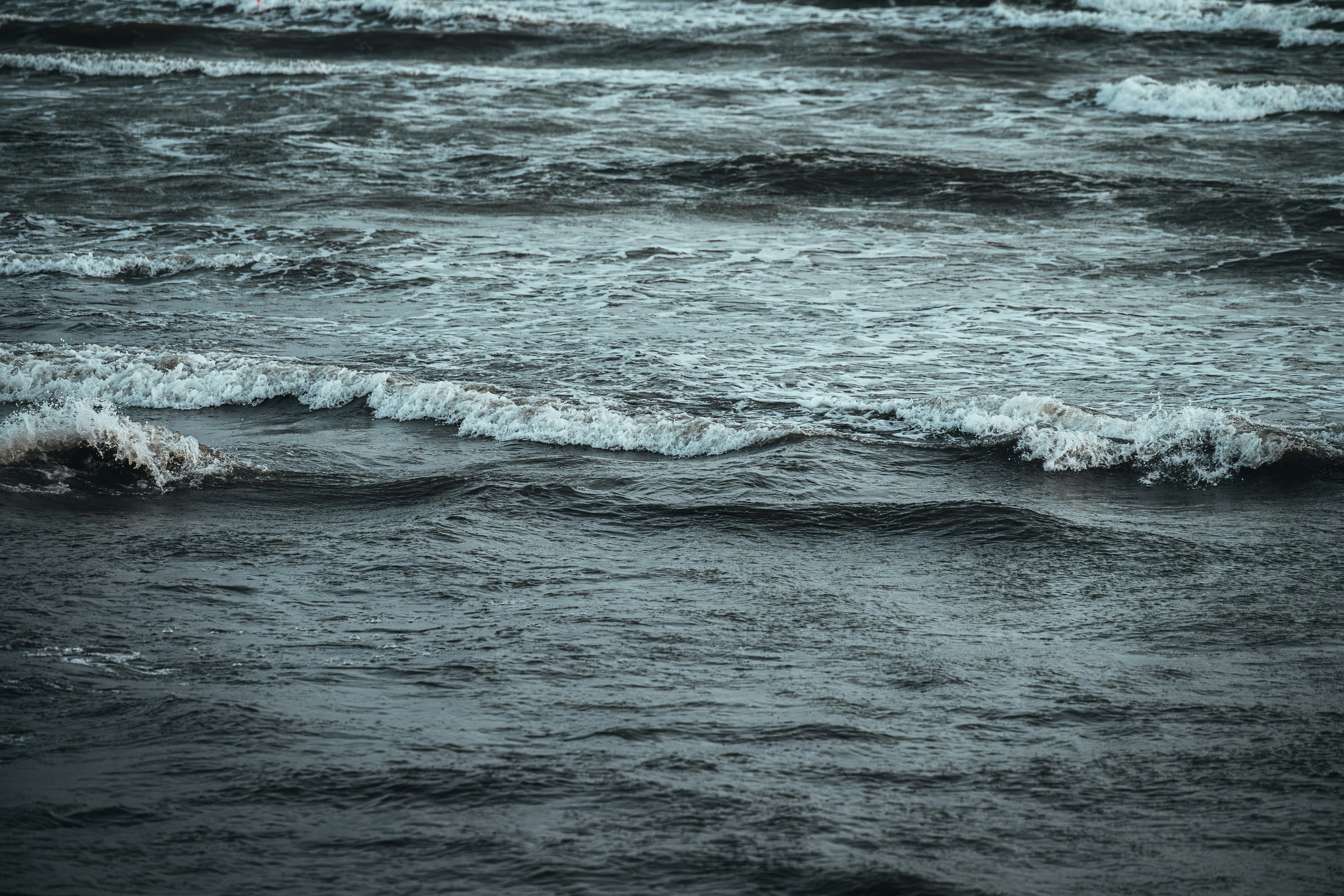 Photo by alexshuperart