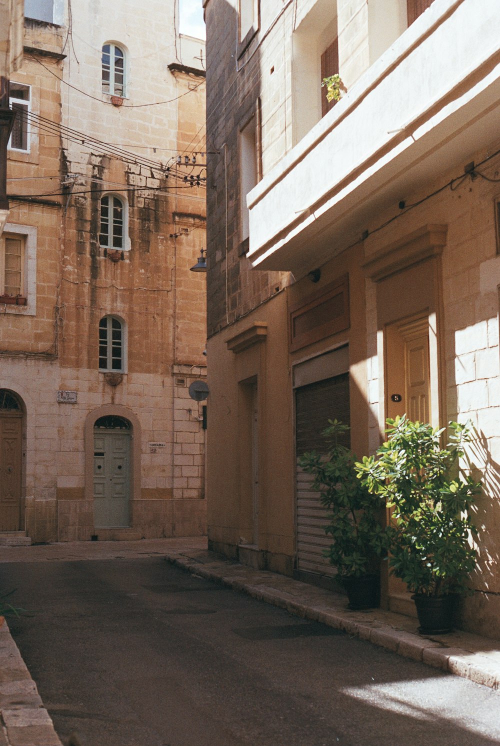 a narrow street with a potted plant in the middle of it