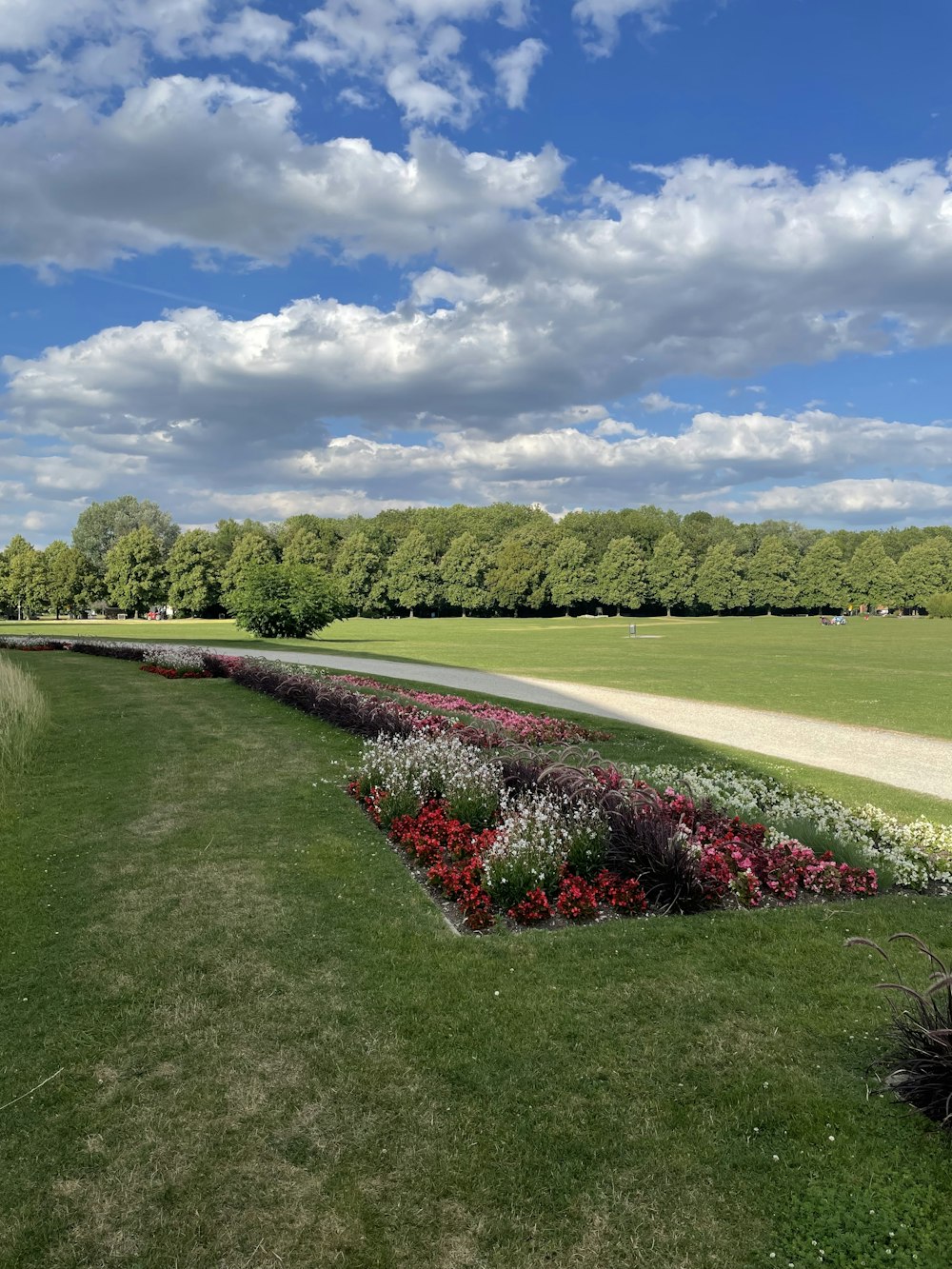 a grassy field with flowers and trees in the background