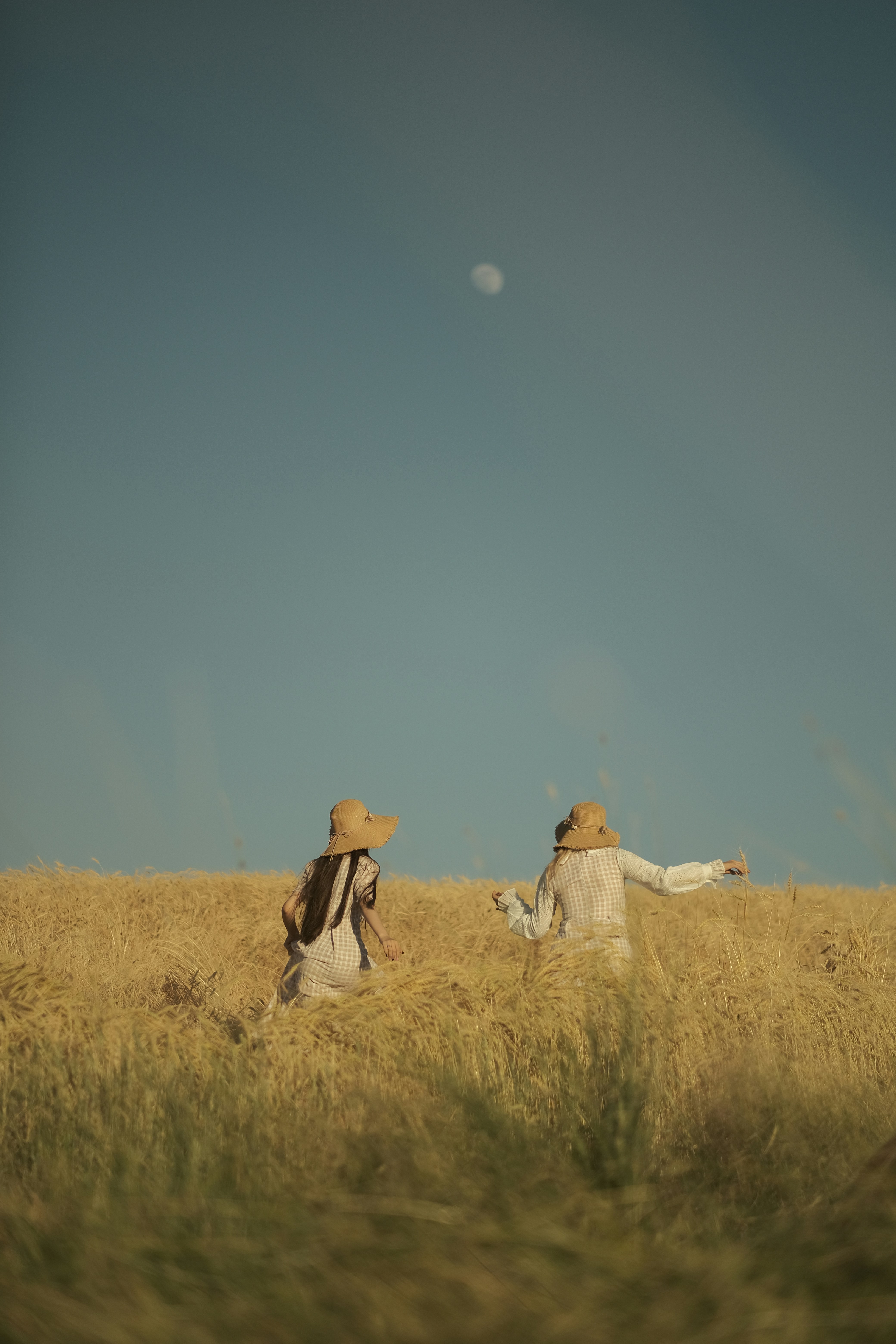 Photo by alikarimibn