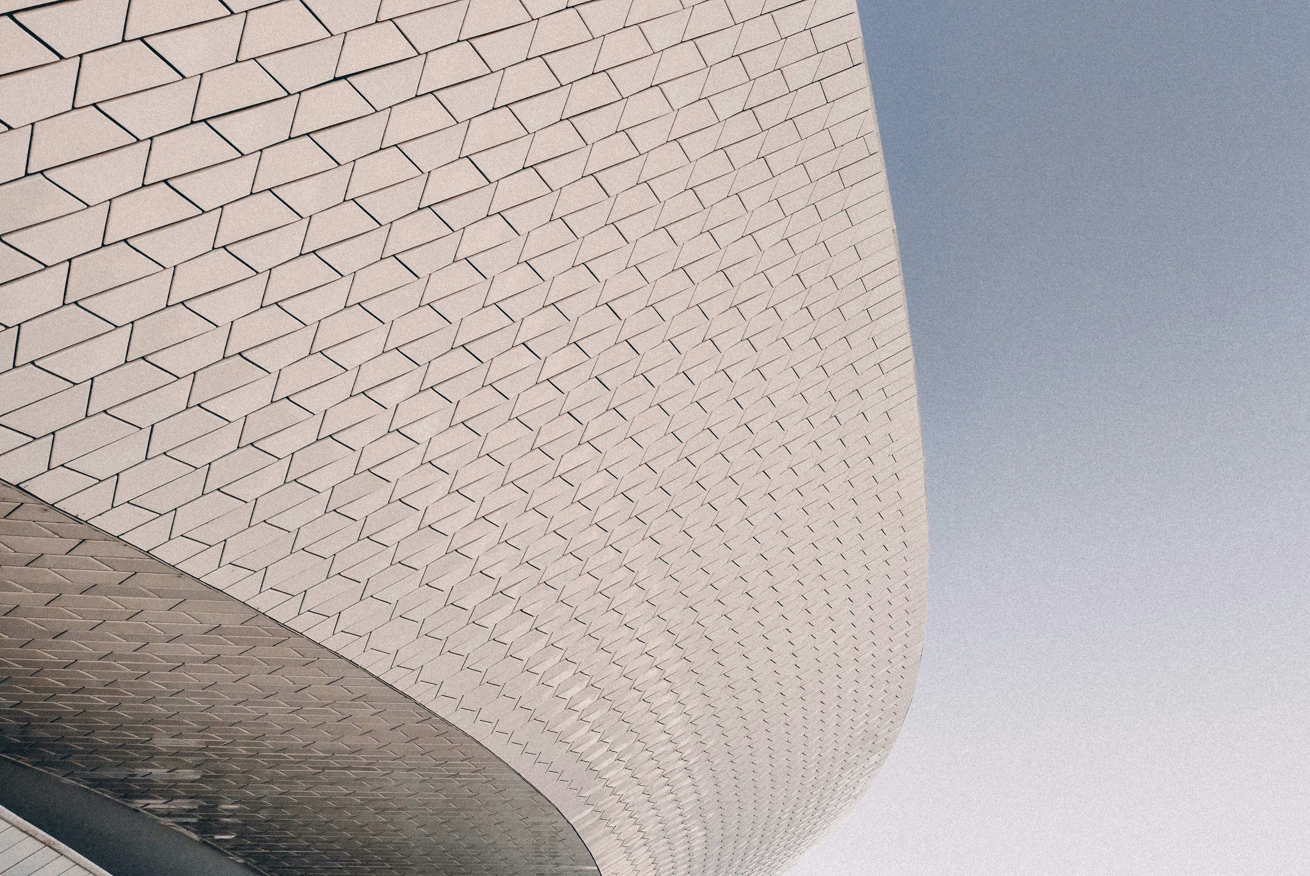 Photo by vitalymazur