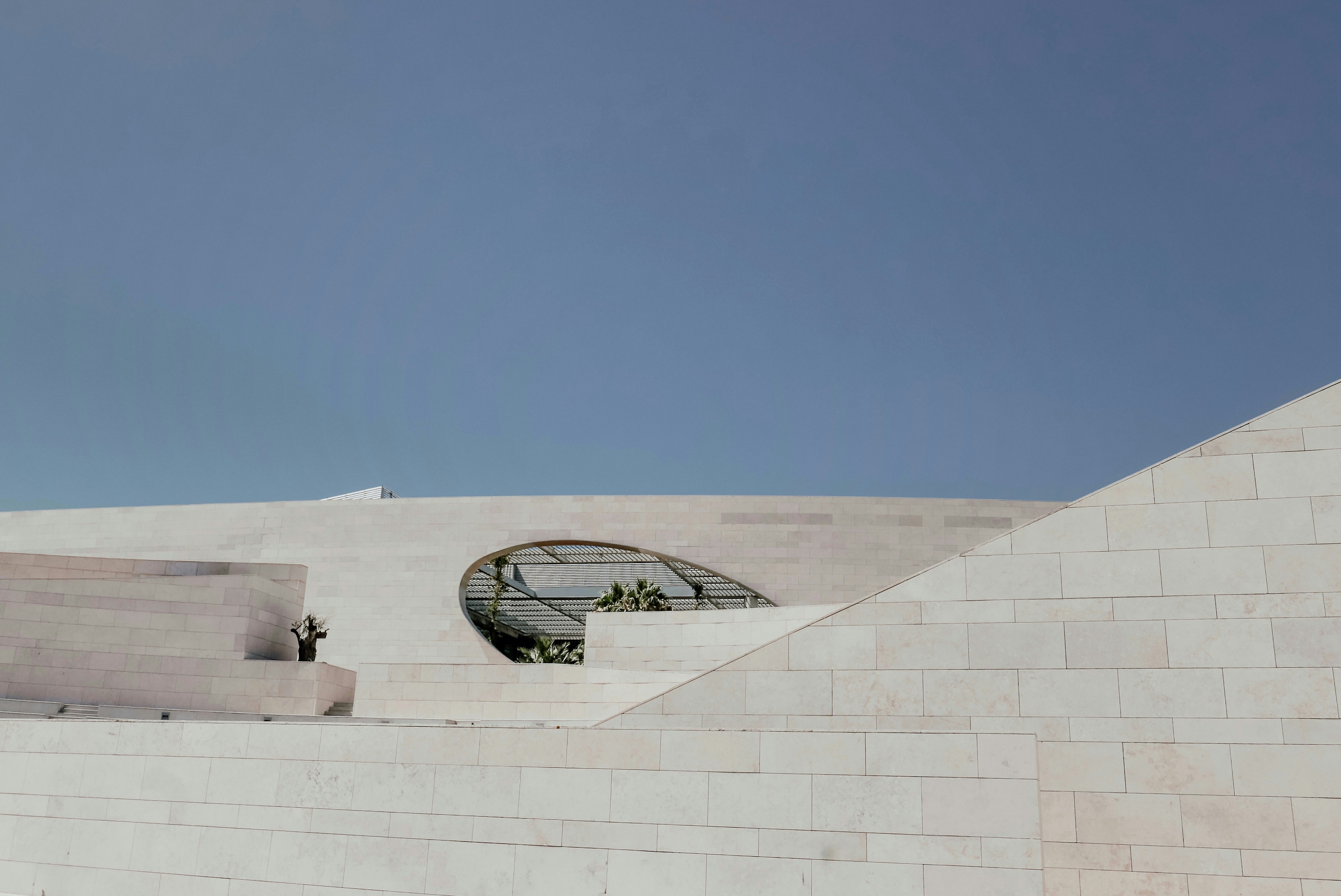 Photo by vitalymazur