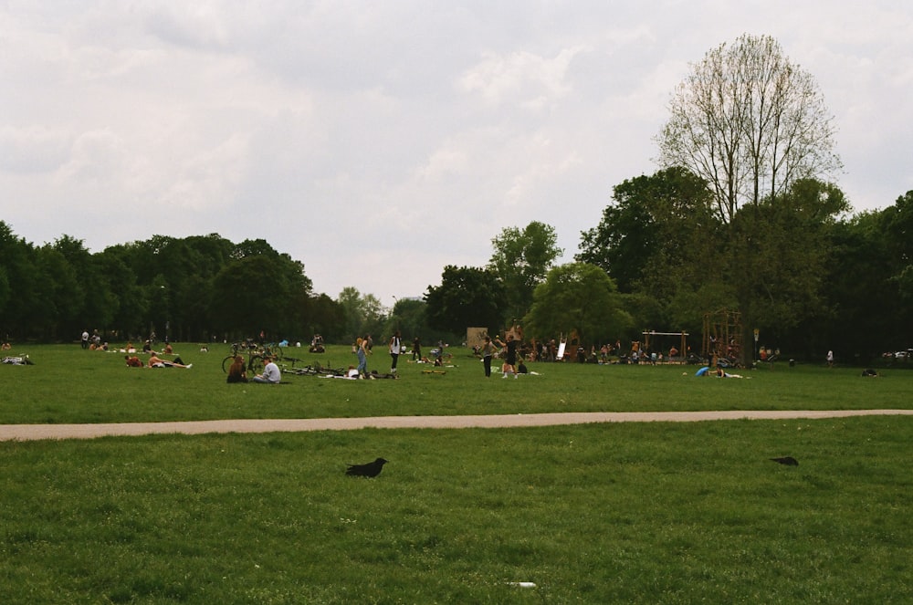 a group of people sitting on top of a lush green field