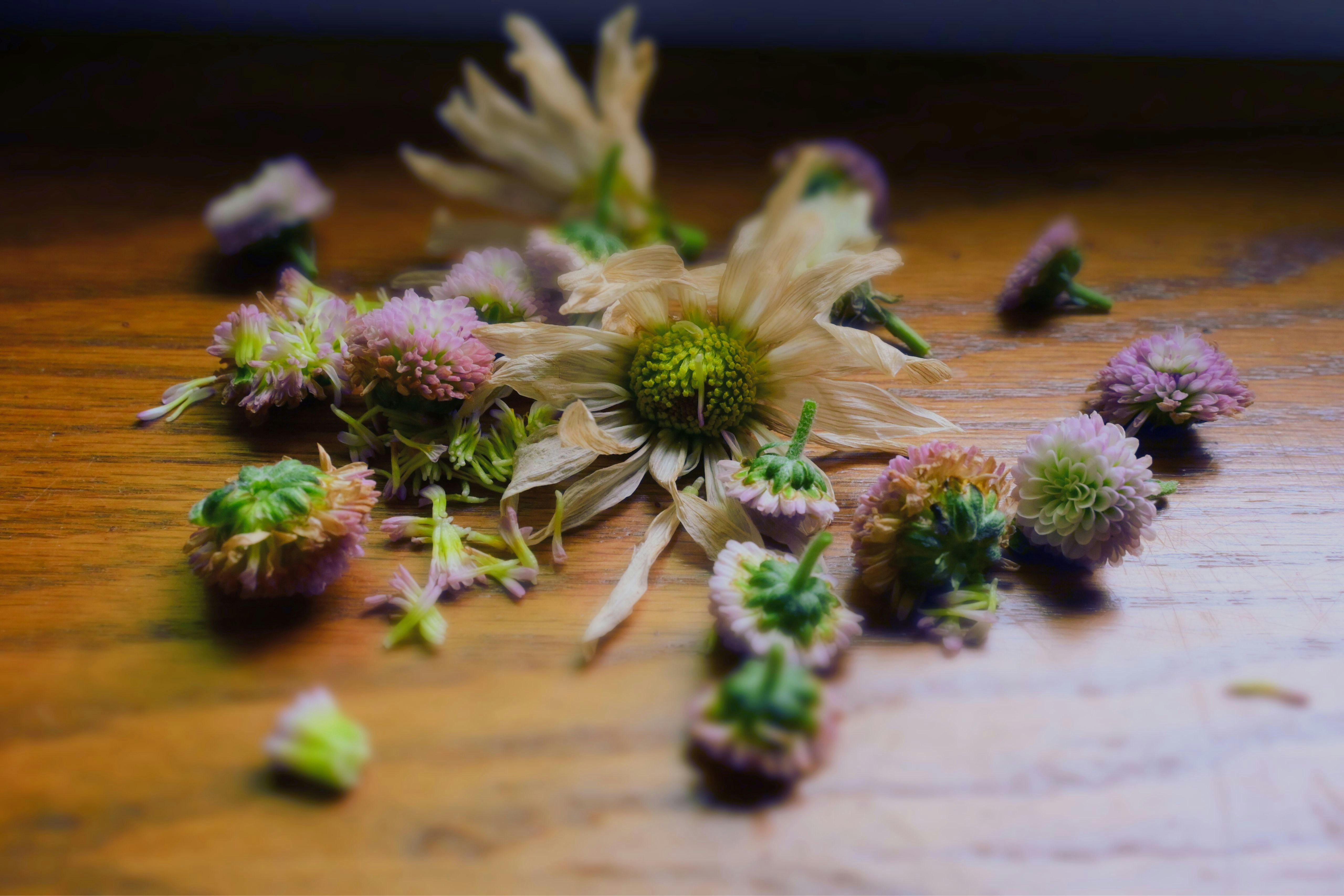 Nature-inspired ingredients used for daily wellness.