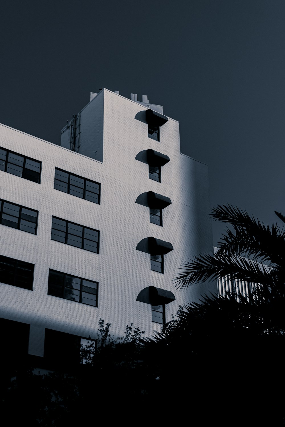 a tall white building sitting next to a palm tree