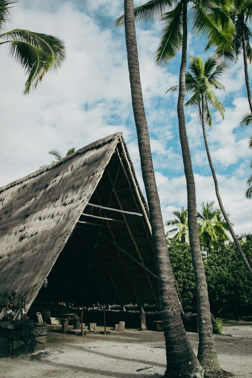 a hut with a thatched roof surrounded by palm trees