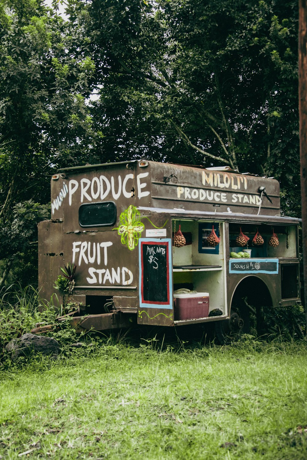 a food truck parked in the middle of a forest