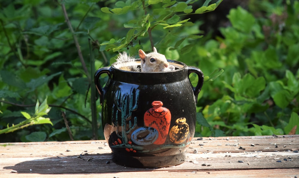 a small rodent sitting inside of a black vase