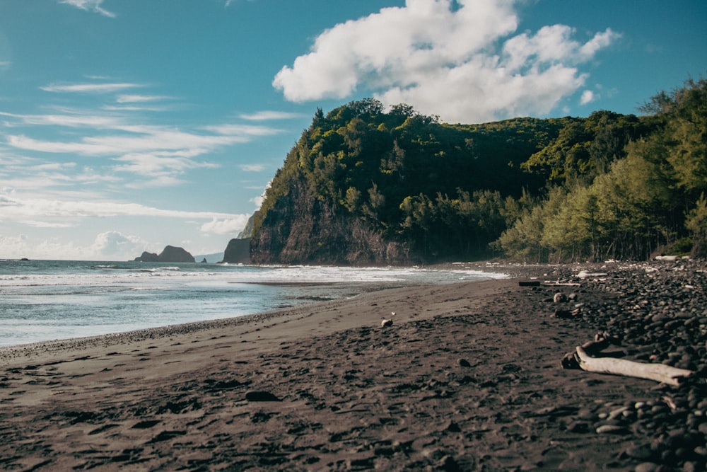 a view of a beach with a mountain in the background