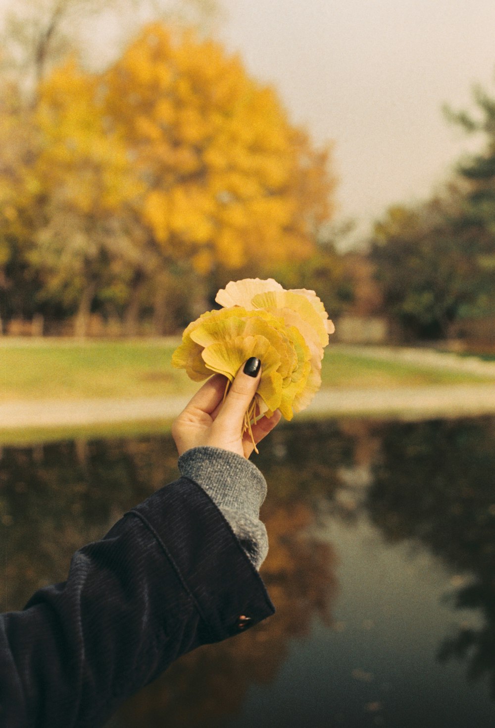 a person holding a leaf over a body of water