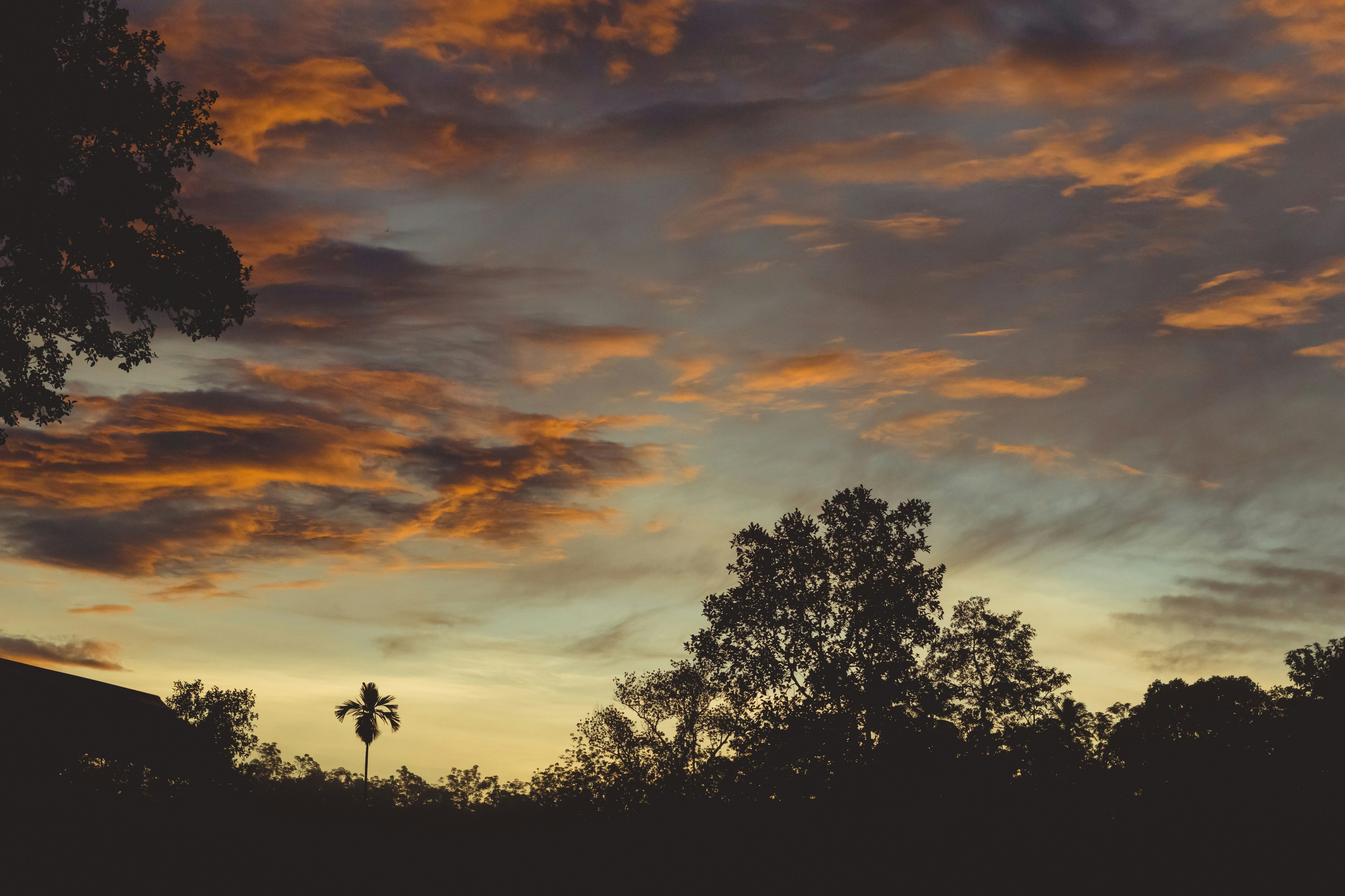 Photo by francos_chapter