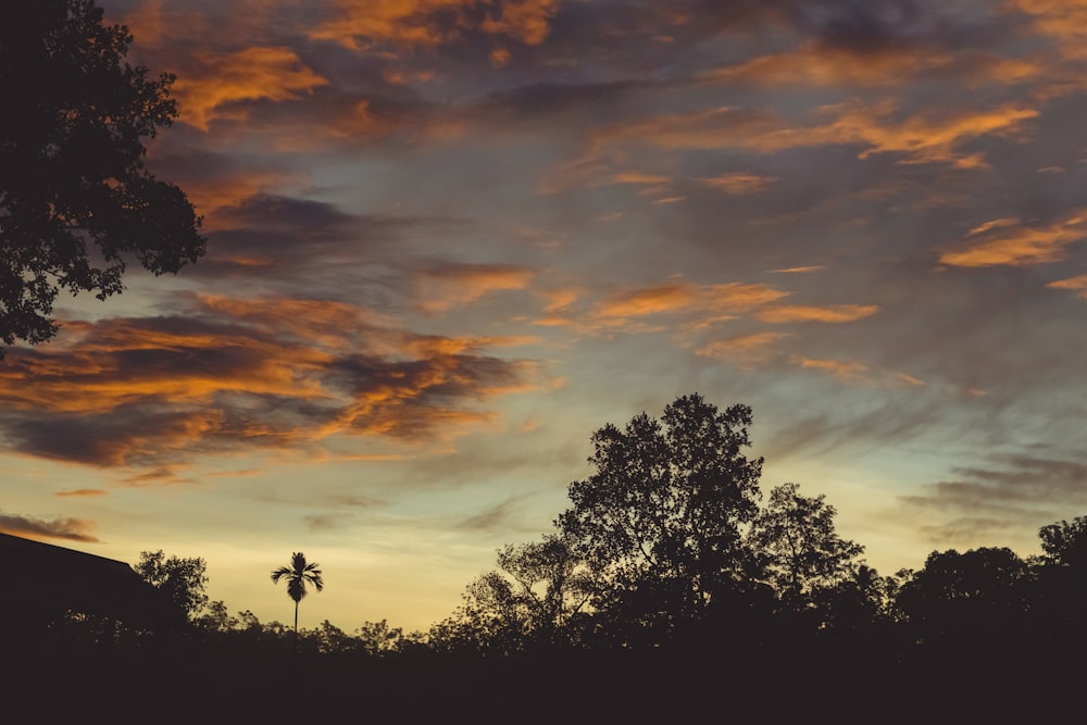 a sunset with clouds and trees in the foreground