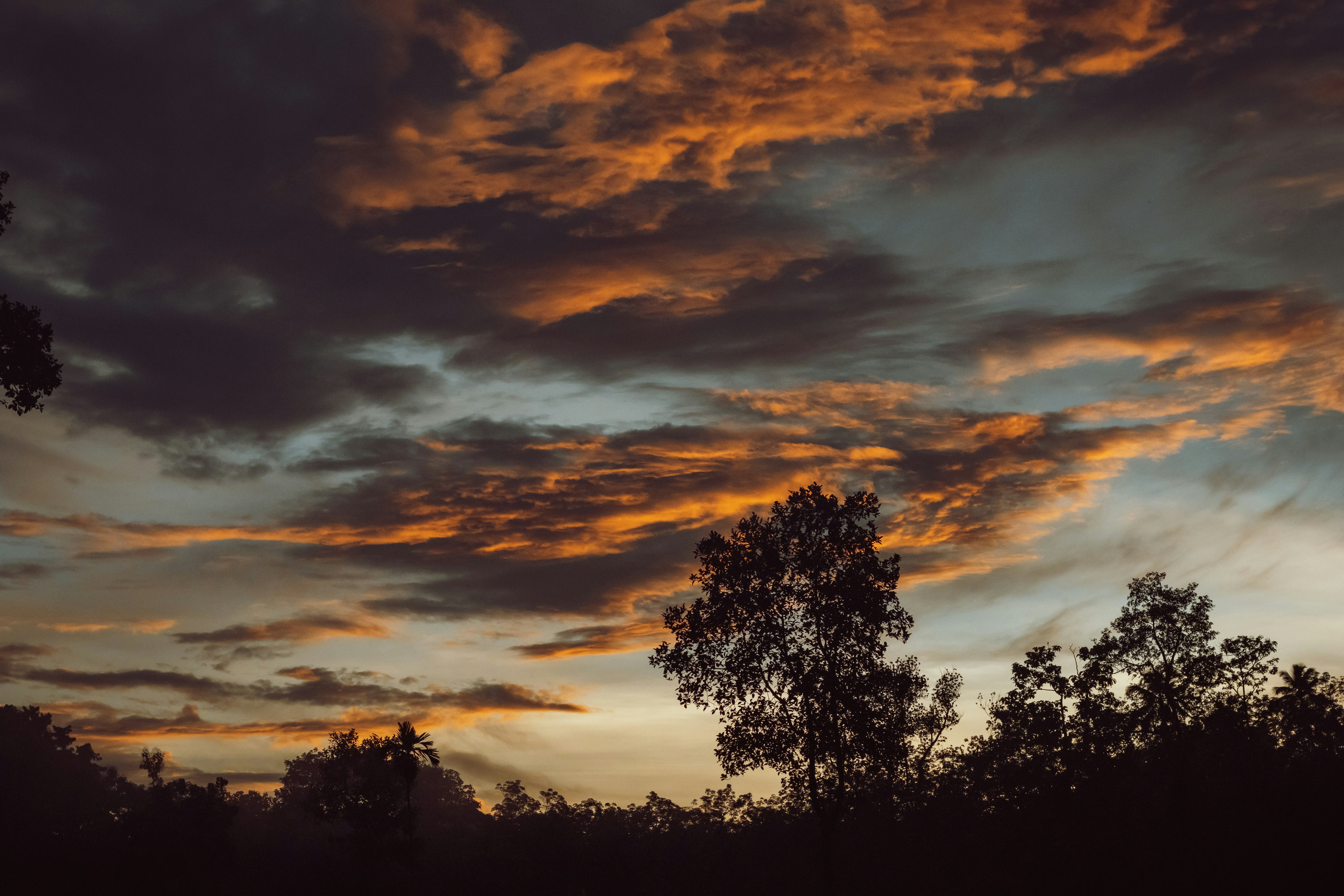 Photo by francos_chapter