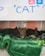 Three kittens are nestled together on a green blanket inside a small shelter. The setting appears cozy and secure, with a textured metallic background. A playful handwritten sign above features the word 'CAT' and some playful icons.