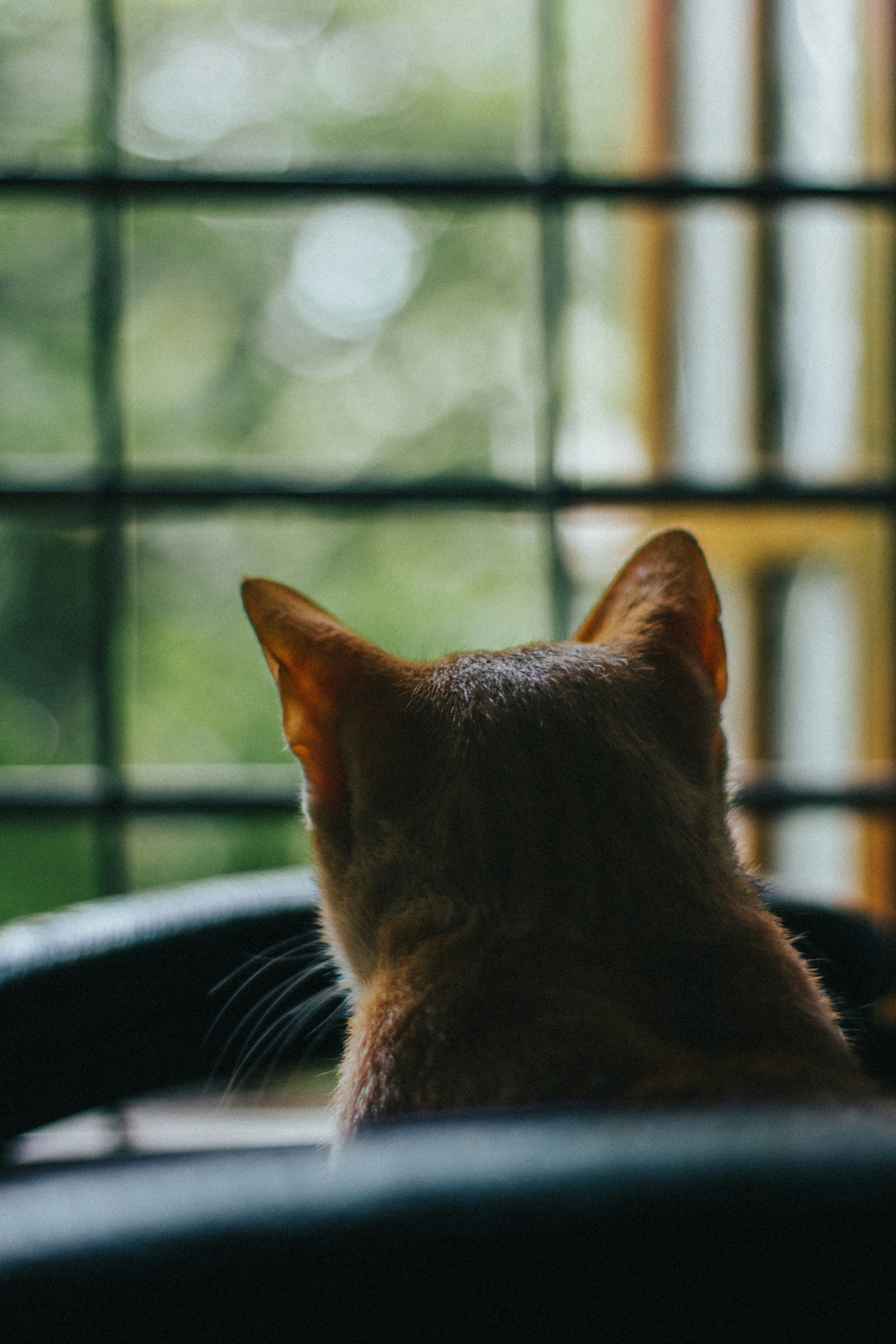 Photo by francos_chapter