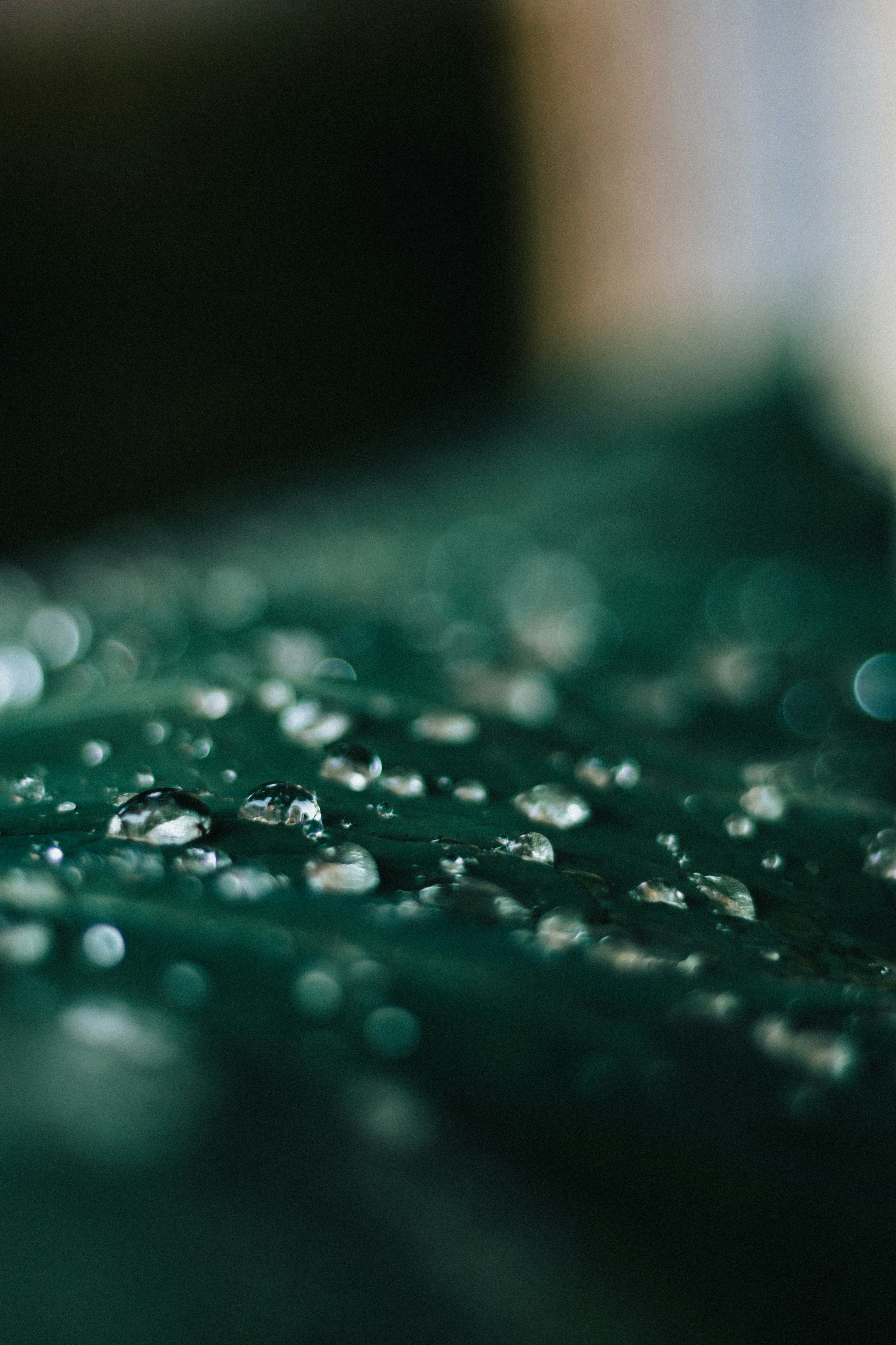 Photo by francos_chapter