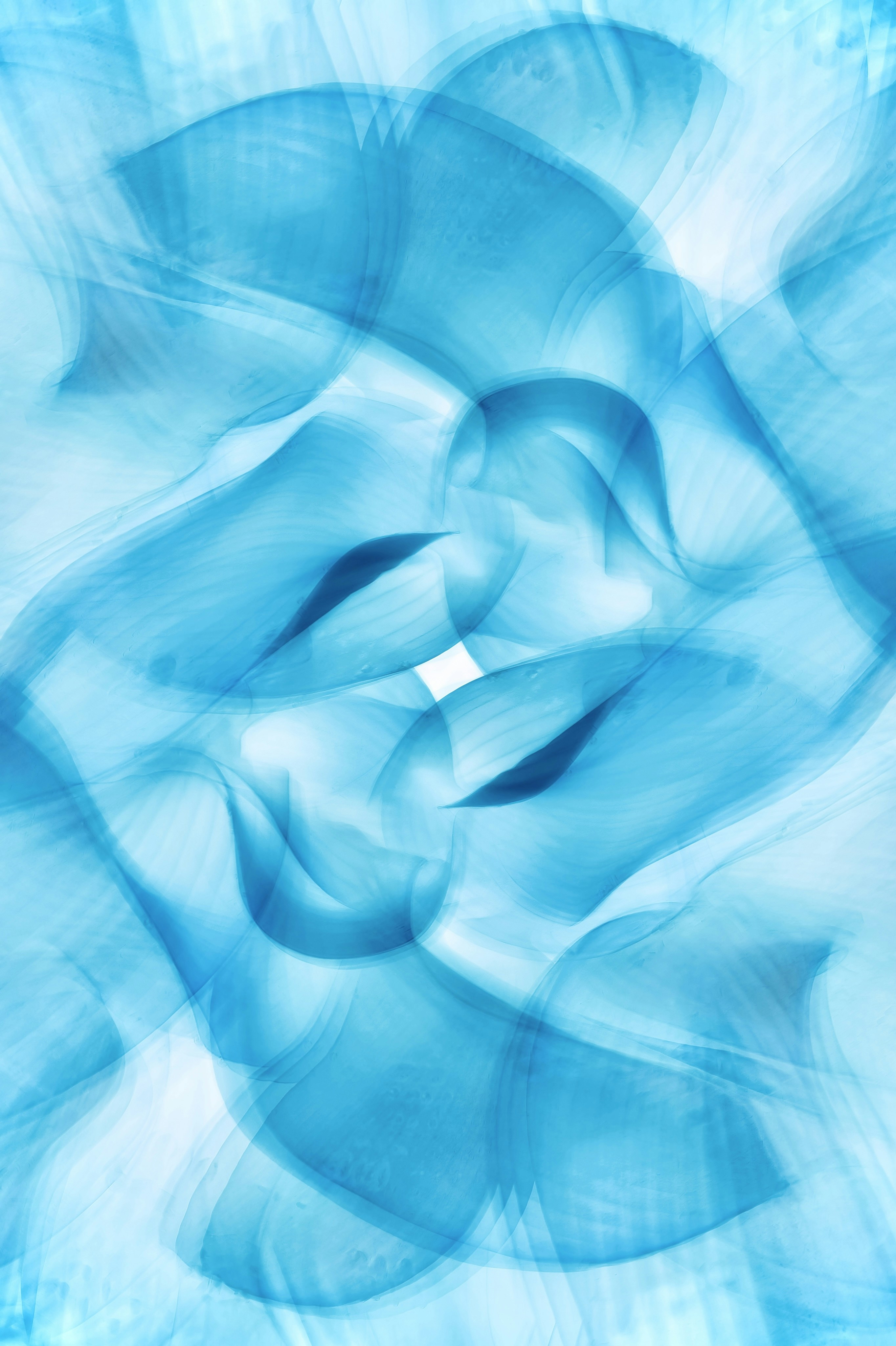 Photo by eugene_golovesov