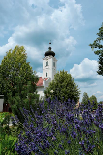 A quiet moment of reflection by the church garden with blooming flowers.