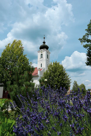 A quiet moment of reflection by the church garden with blooming flowers.