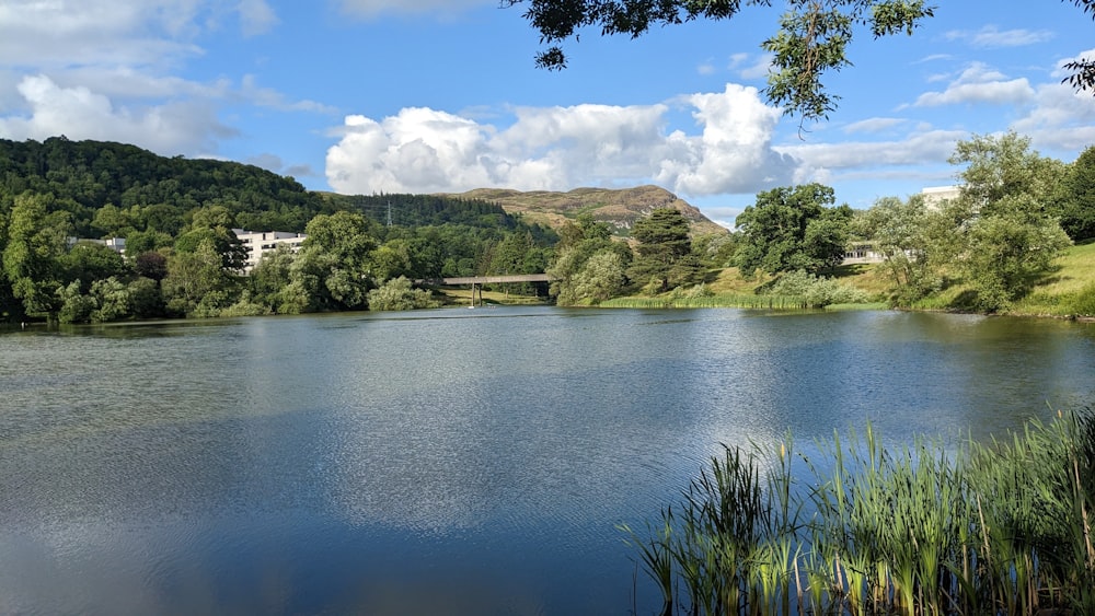 a large body of water surrounded by trees