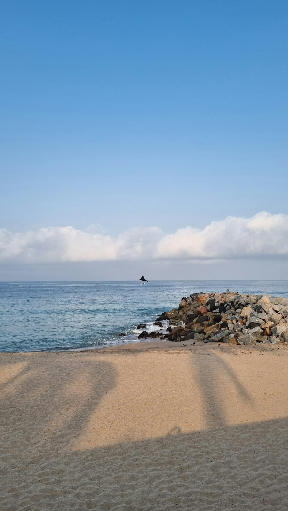 the shadow of a person standing on a beach