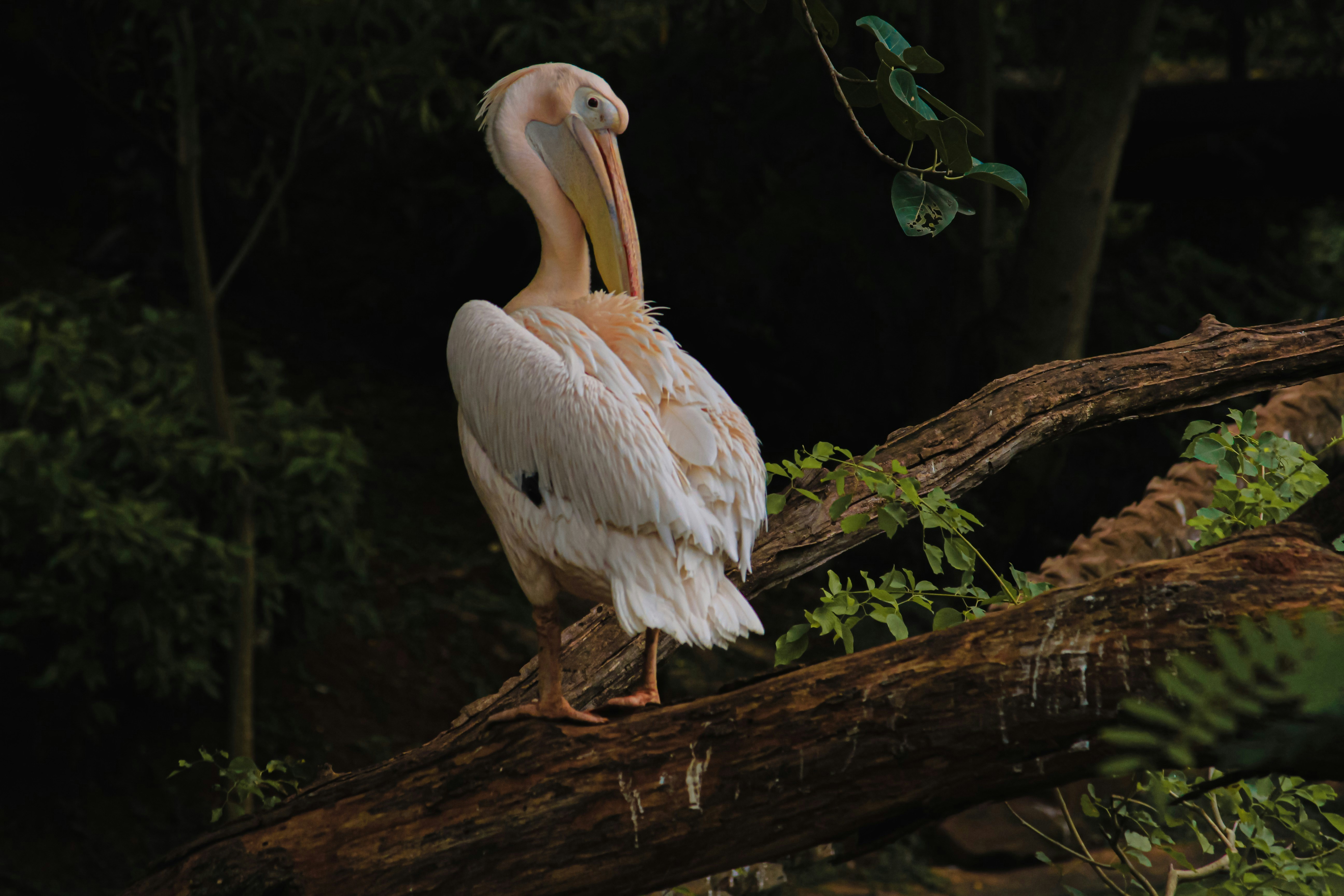 Photo by a_b_captures