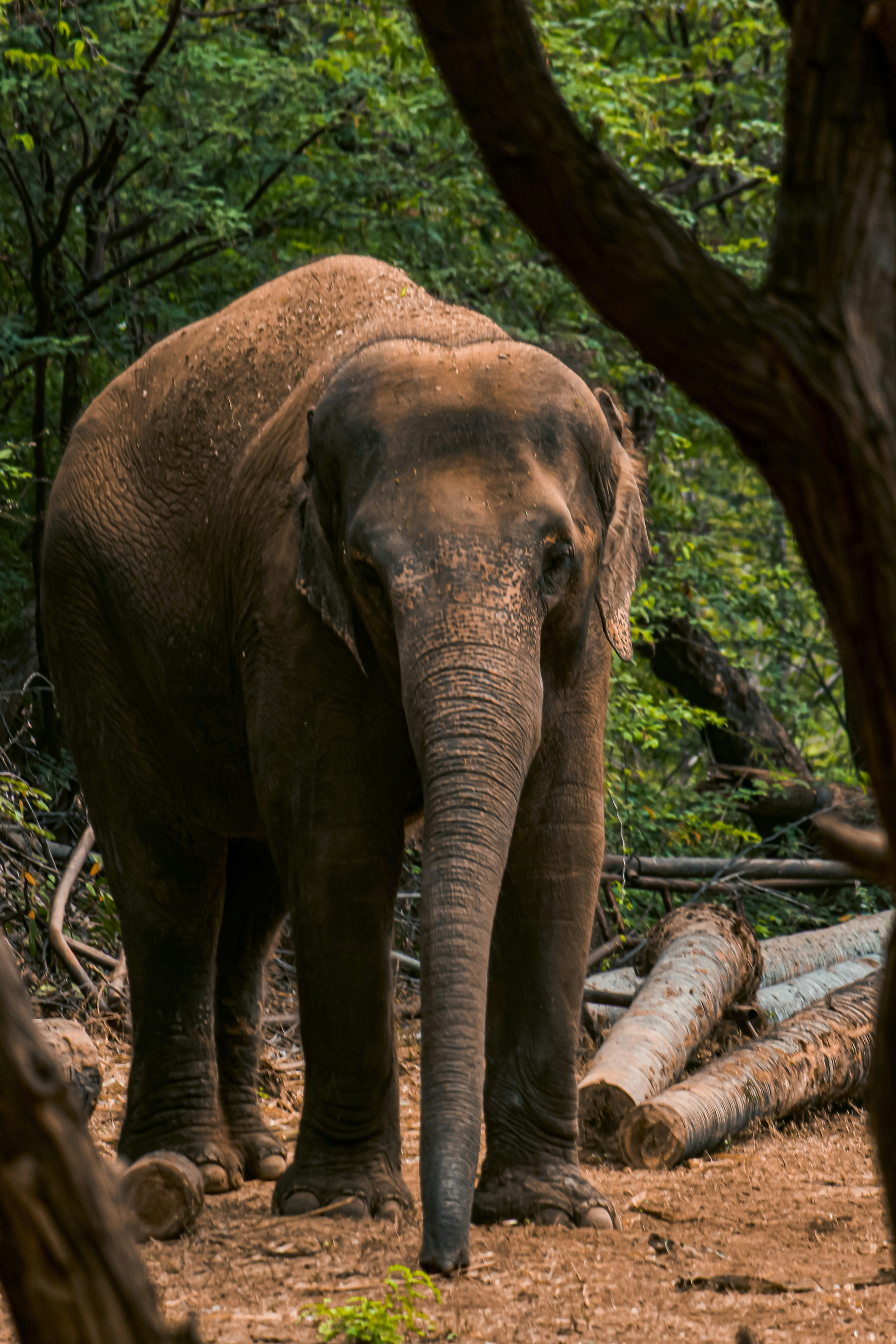 Photo by a_b_captures