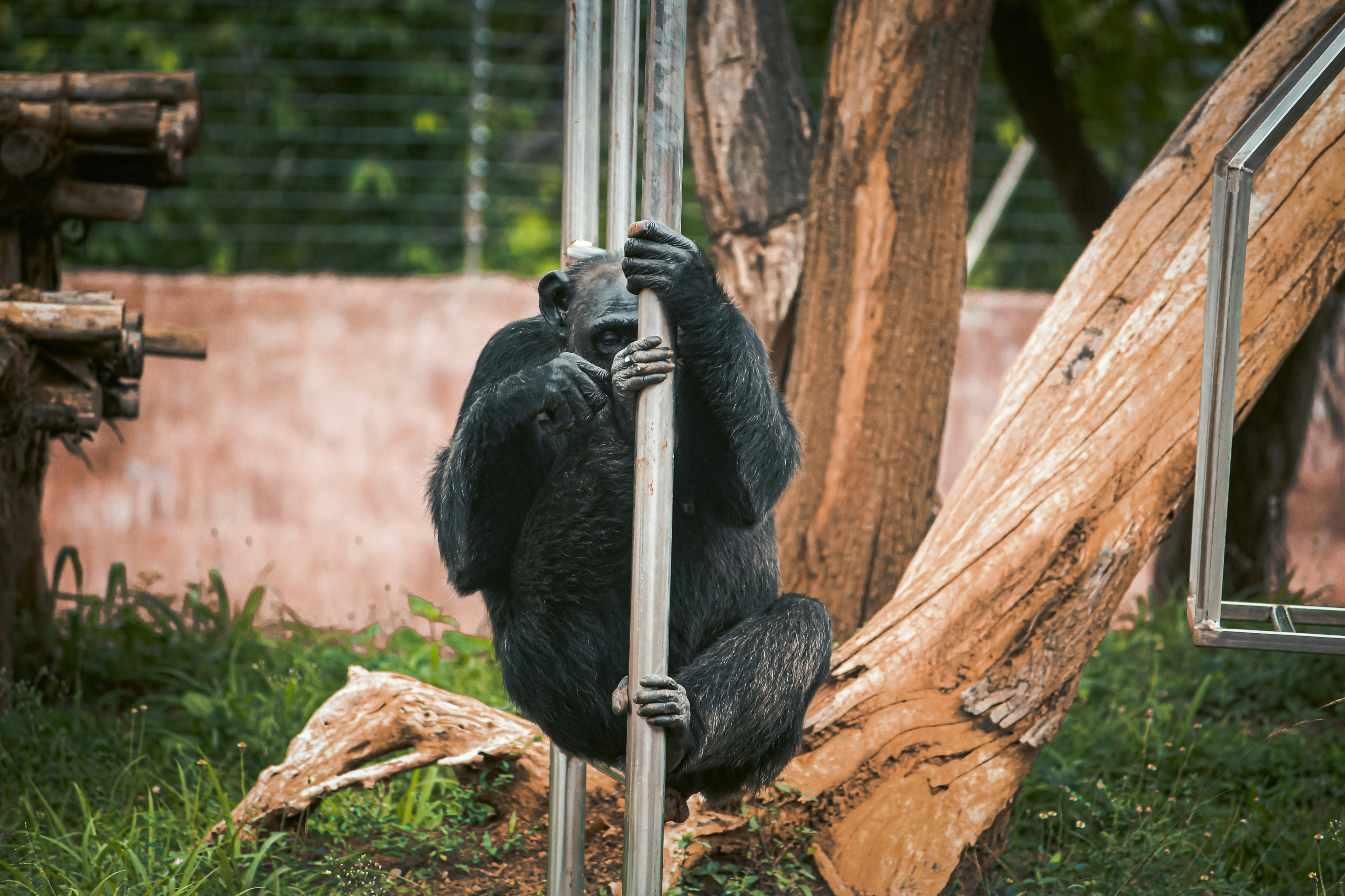 Photo by a_b_captures