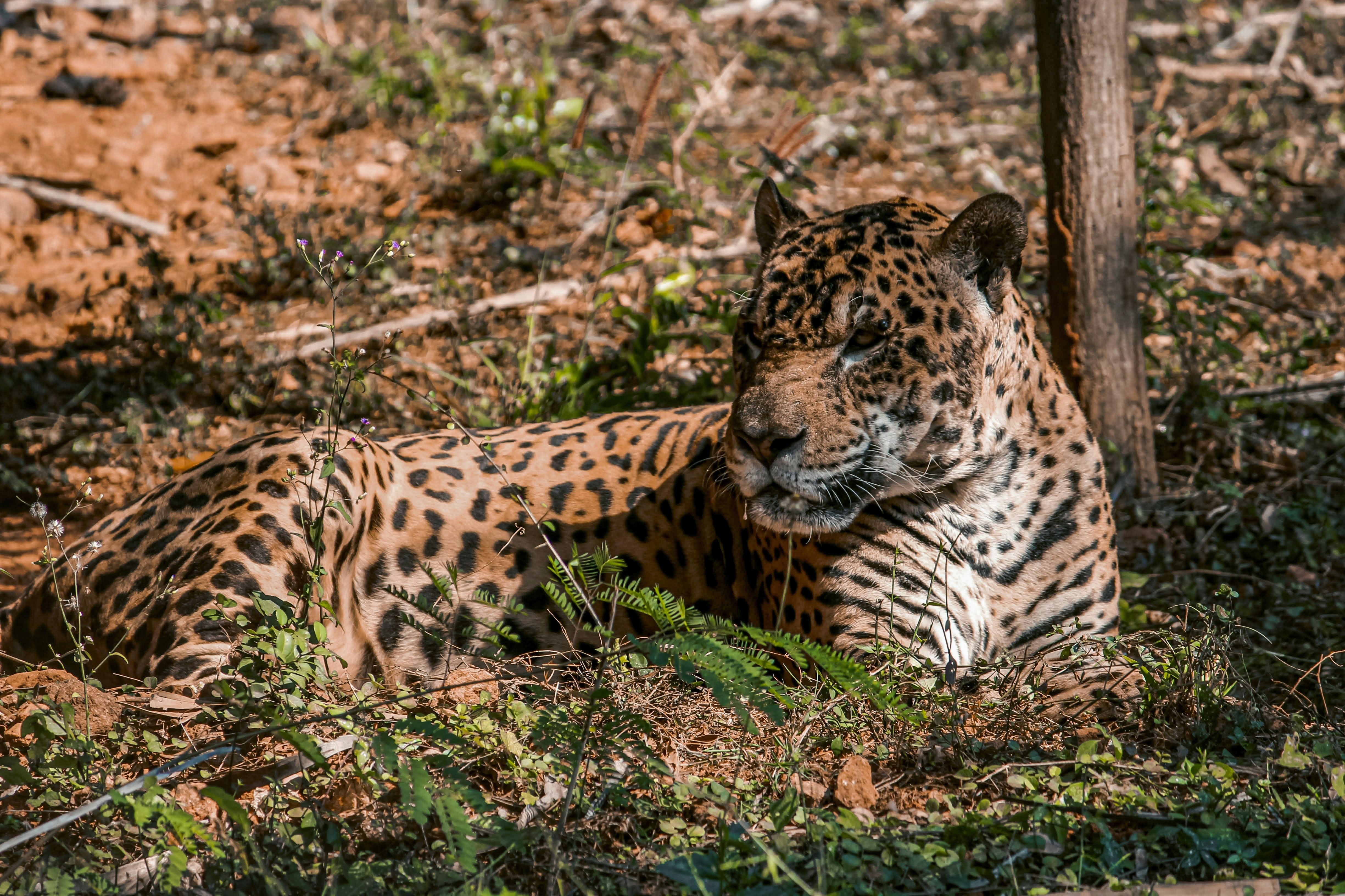 Photo by a_b_captures