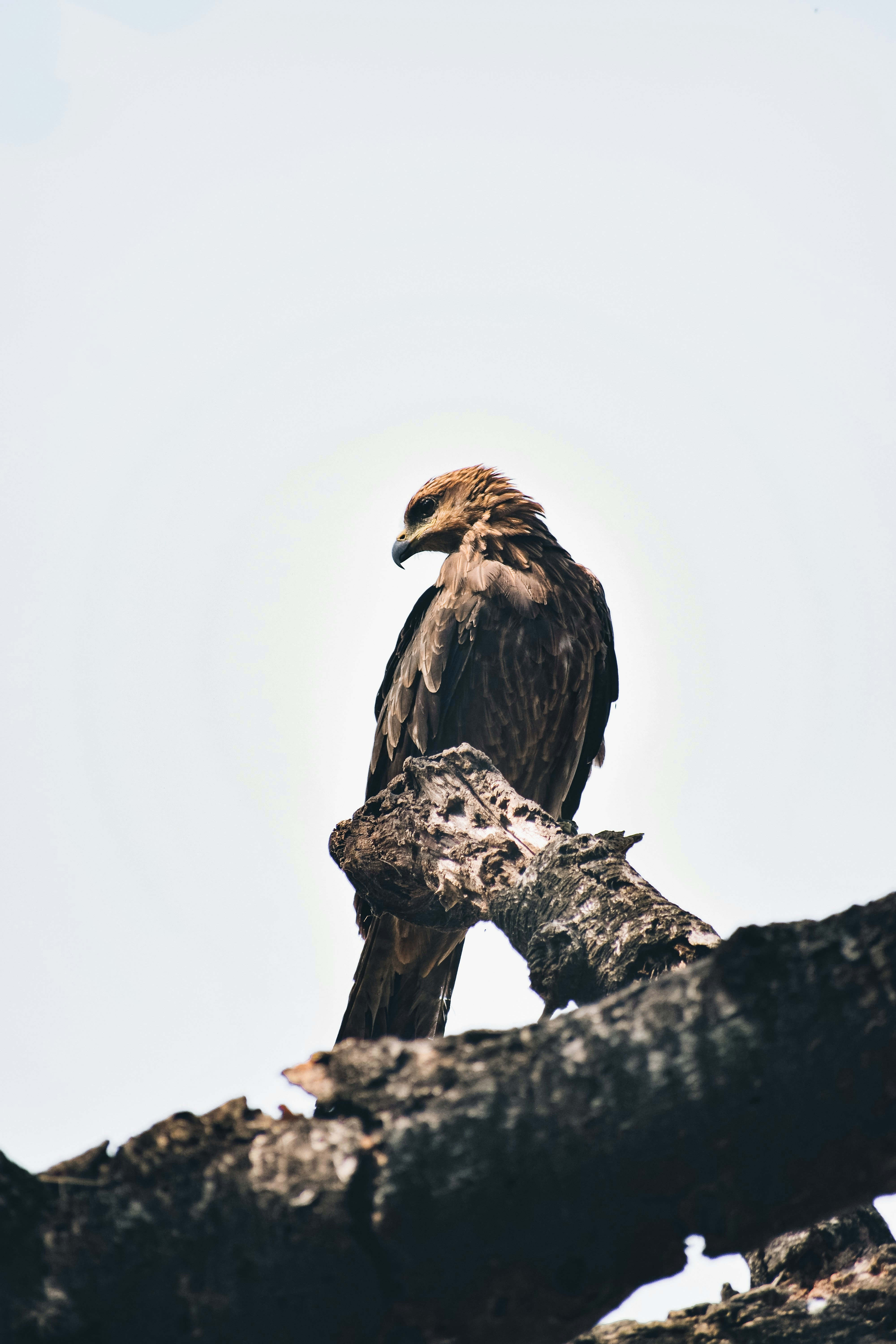 Photo by a_b_captures