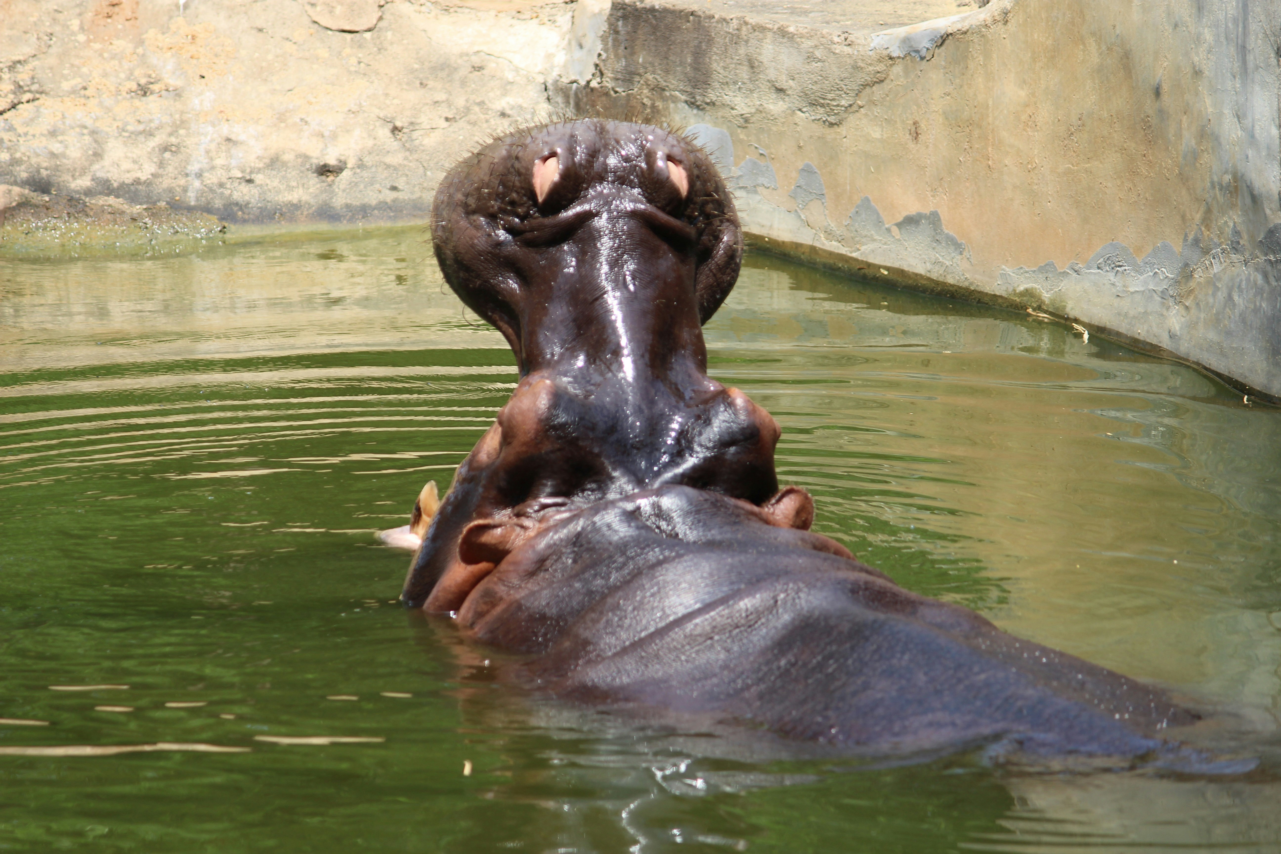 Photo by a_b_captures