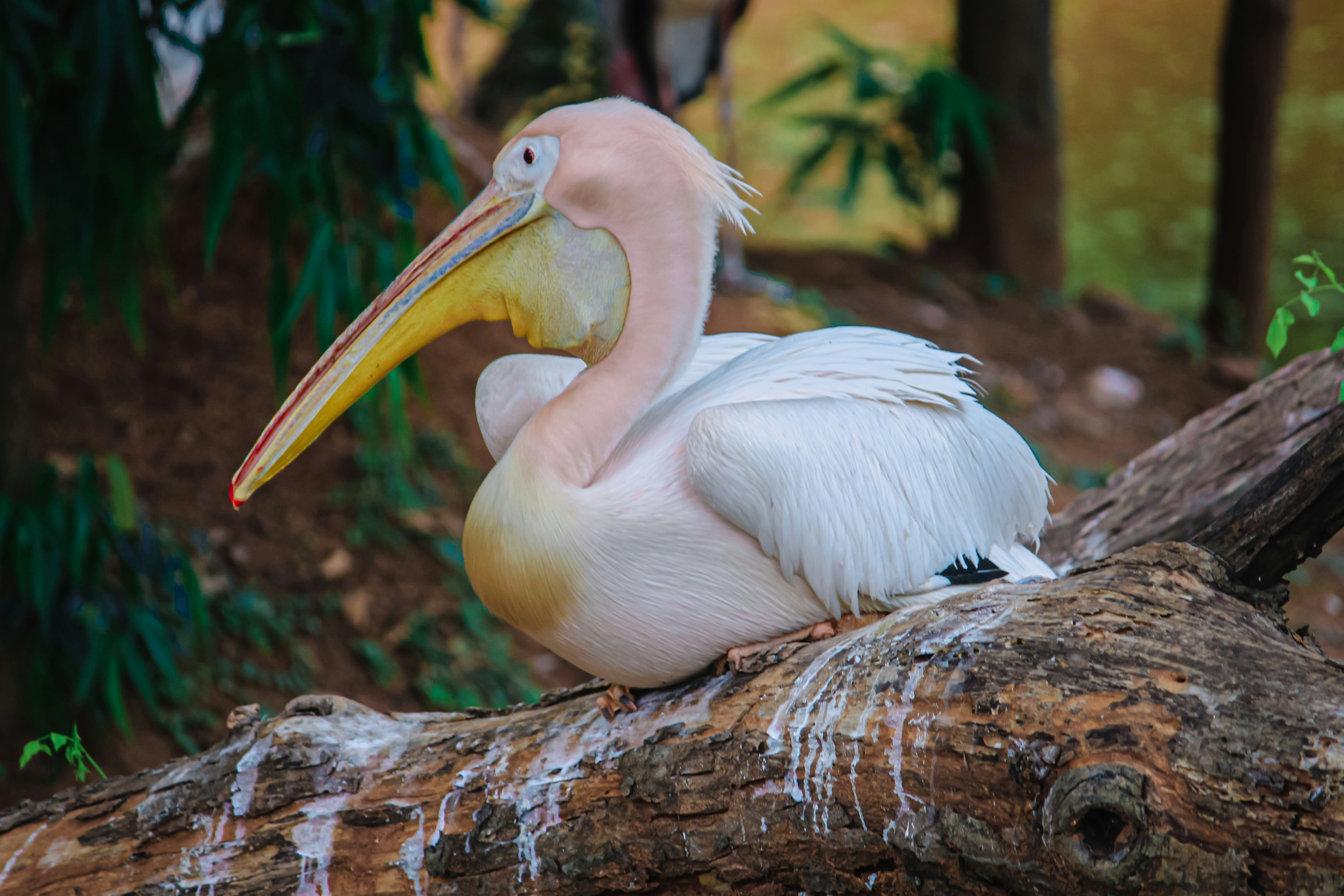 Photo by a_b_captures