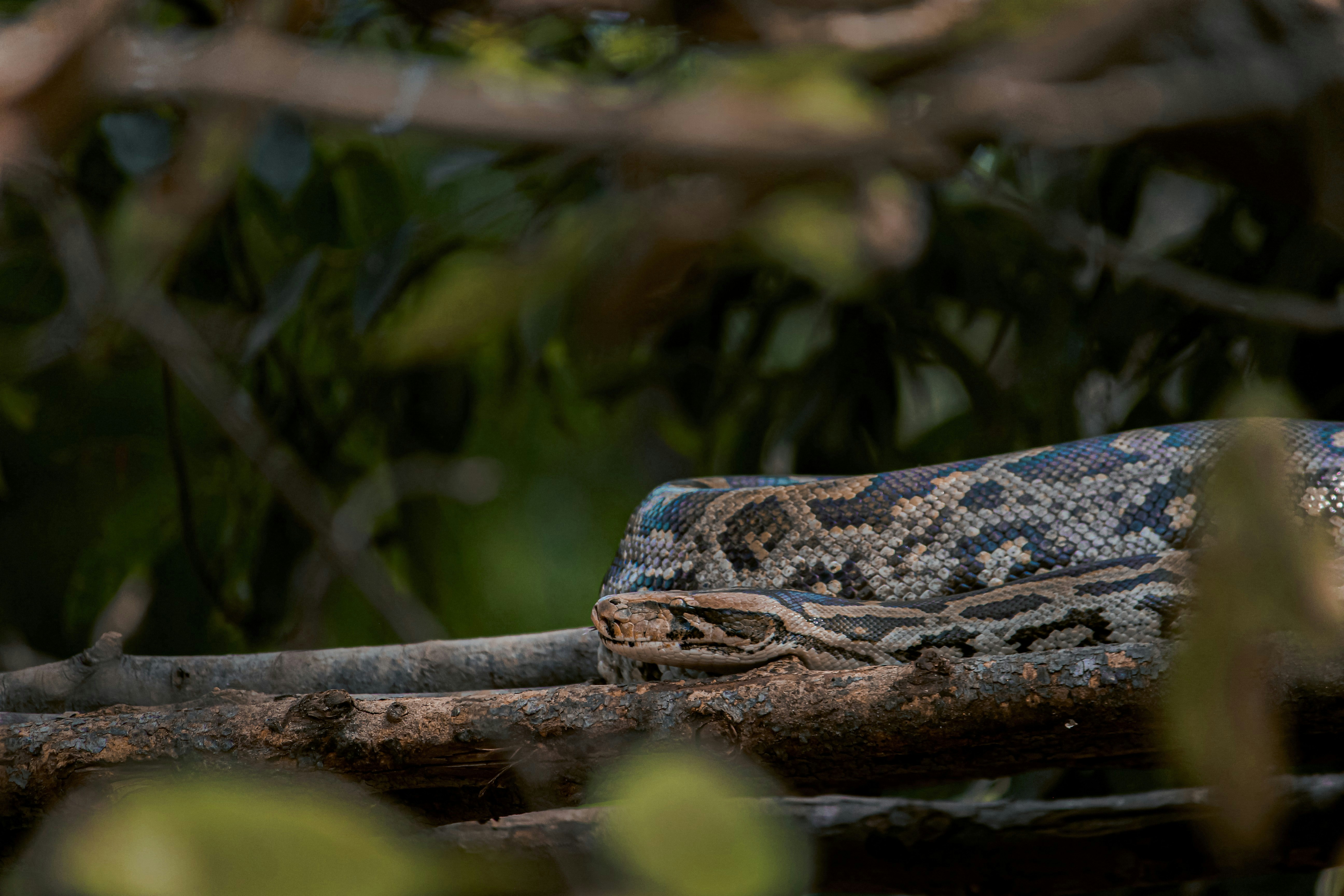 Photo by a_b_captures