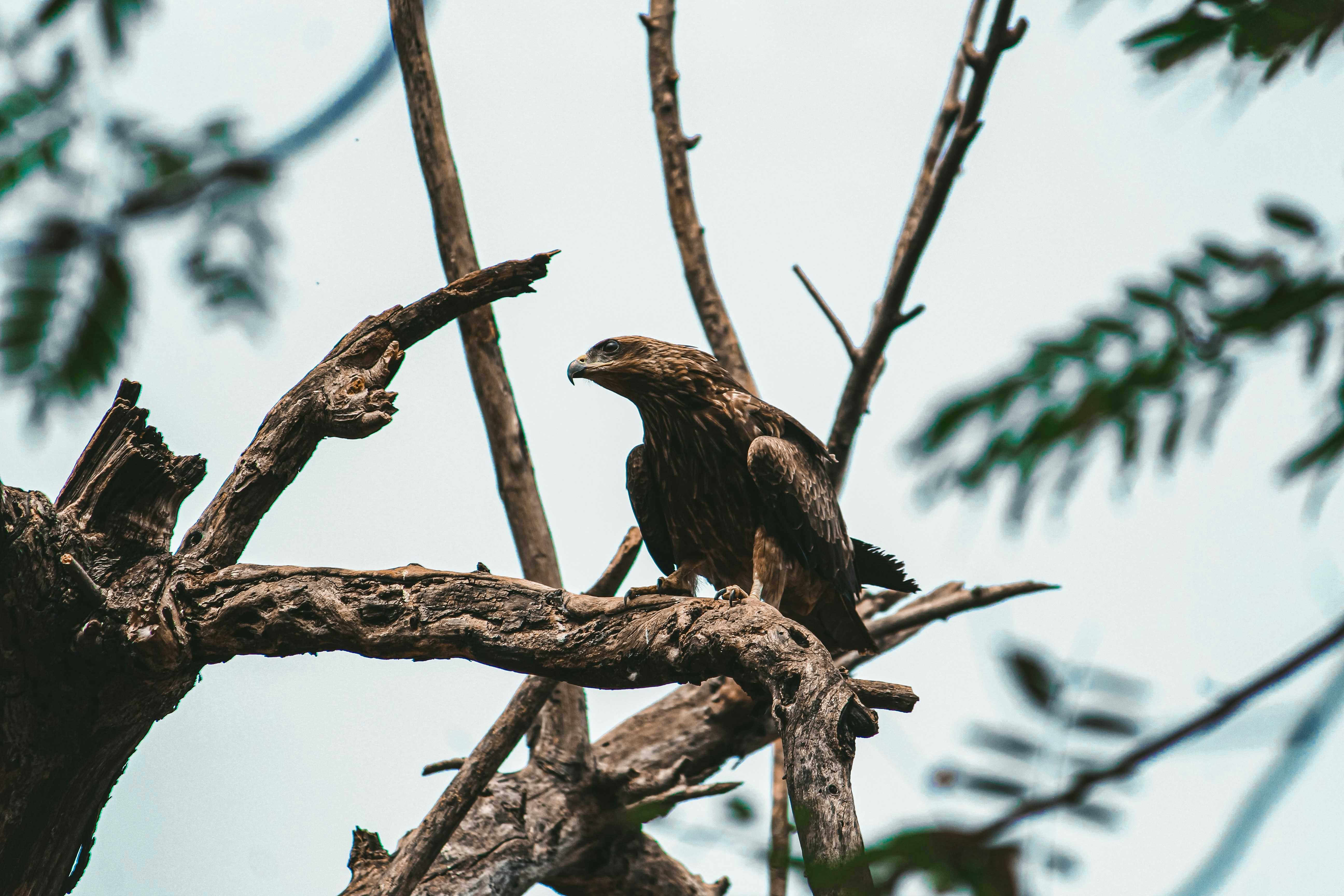 Photo by a_b_captures