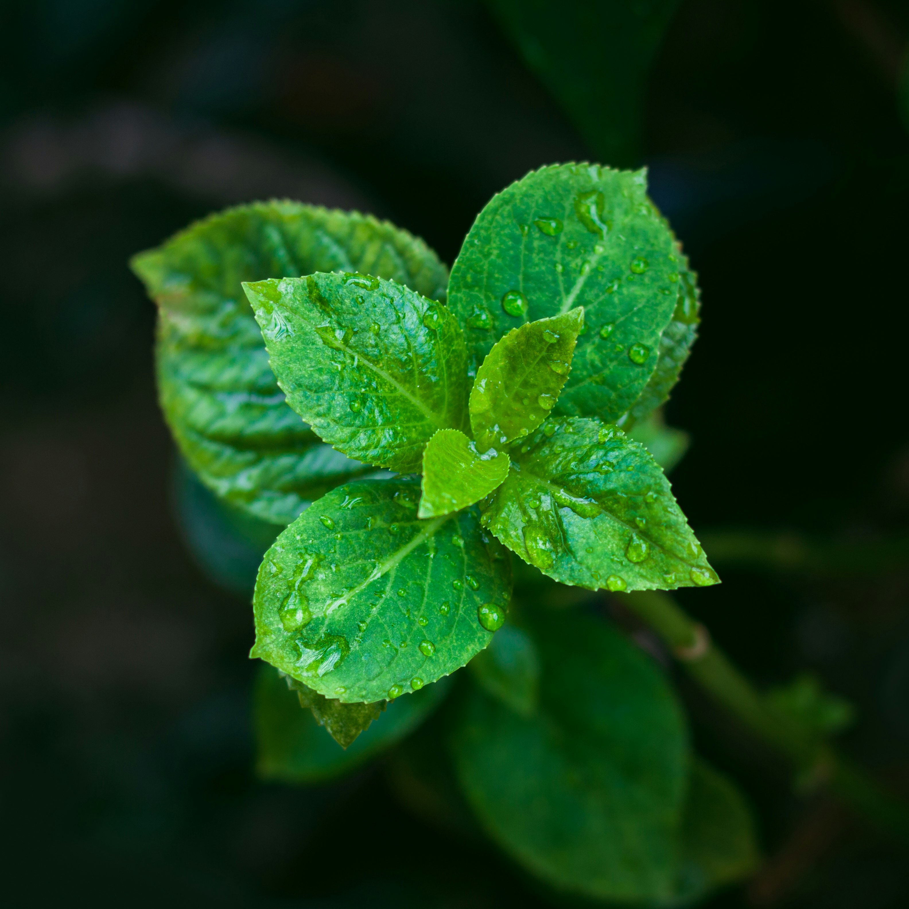 Photo by notoriousfan3012