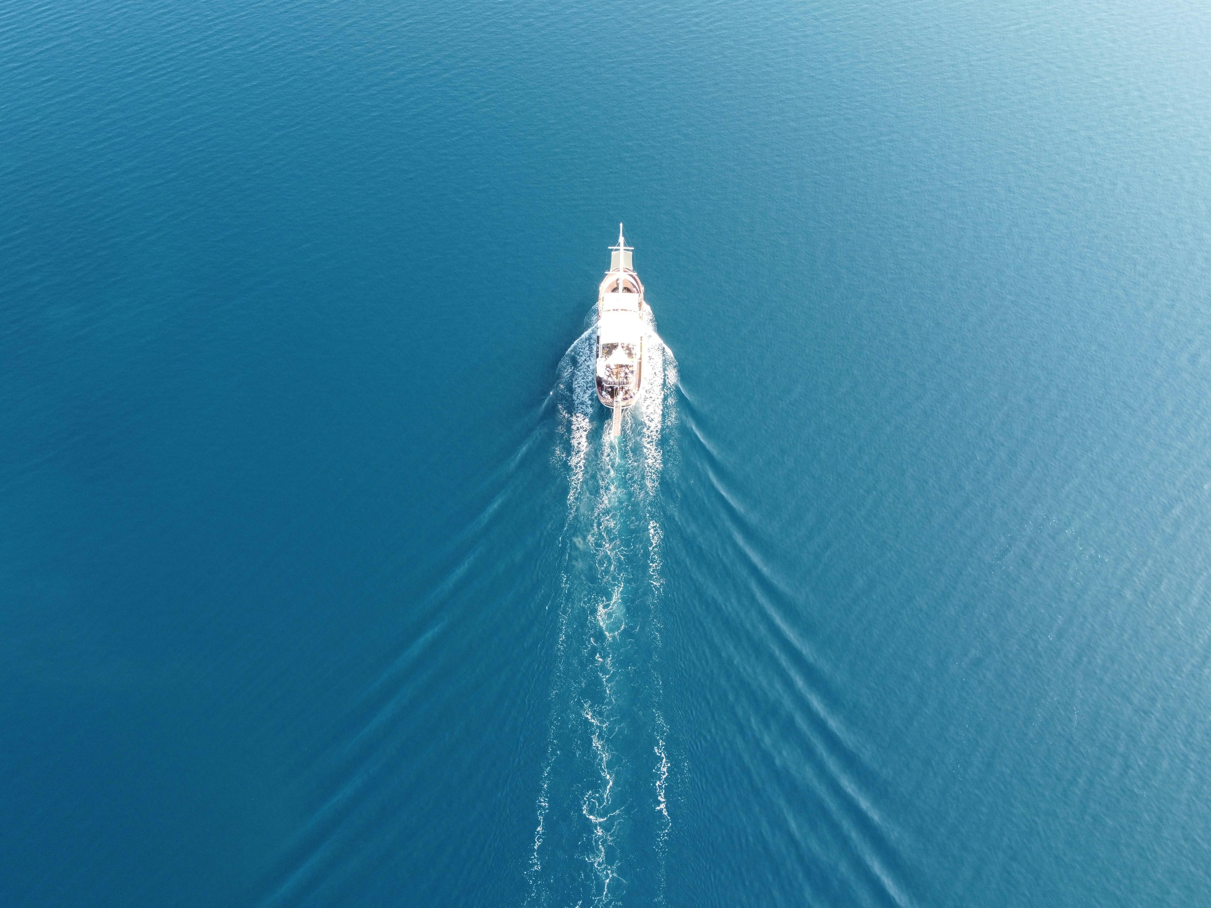 Photo by stefanthess